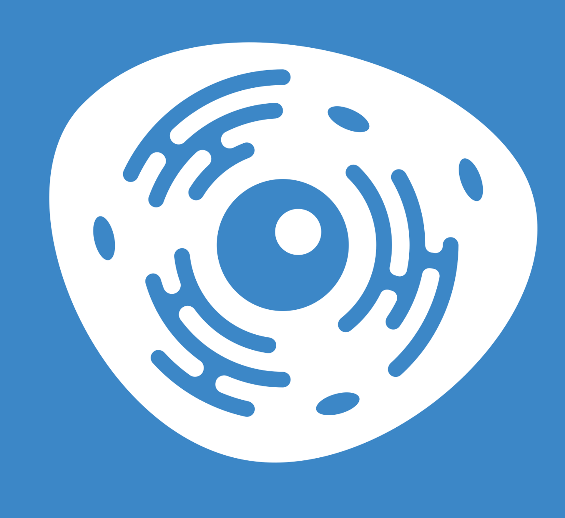 an abstract photo of a curved building with a blue sky in the background