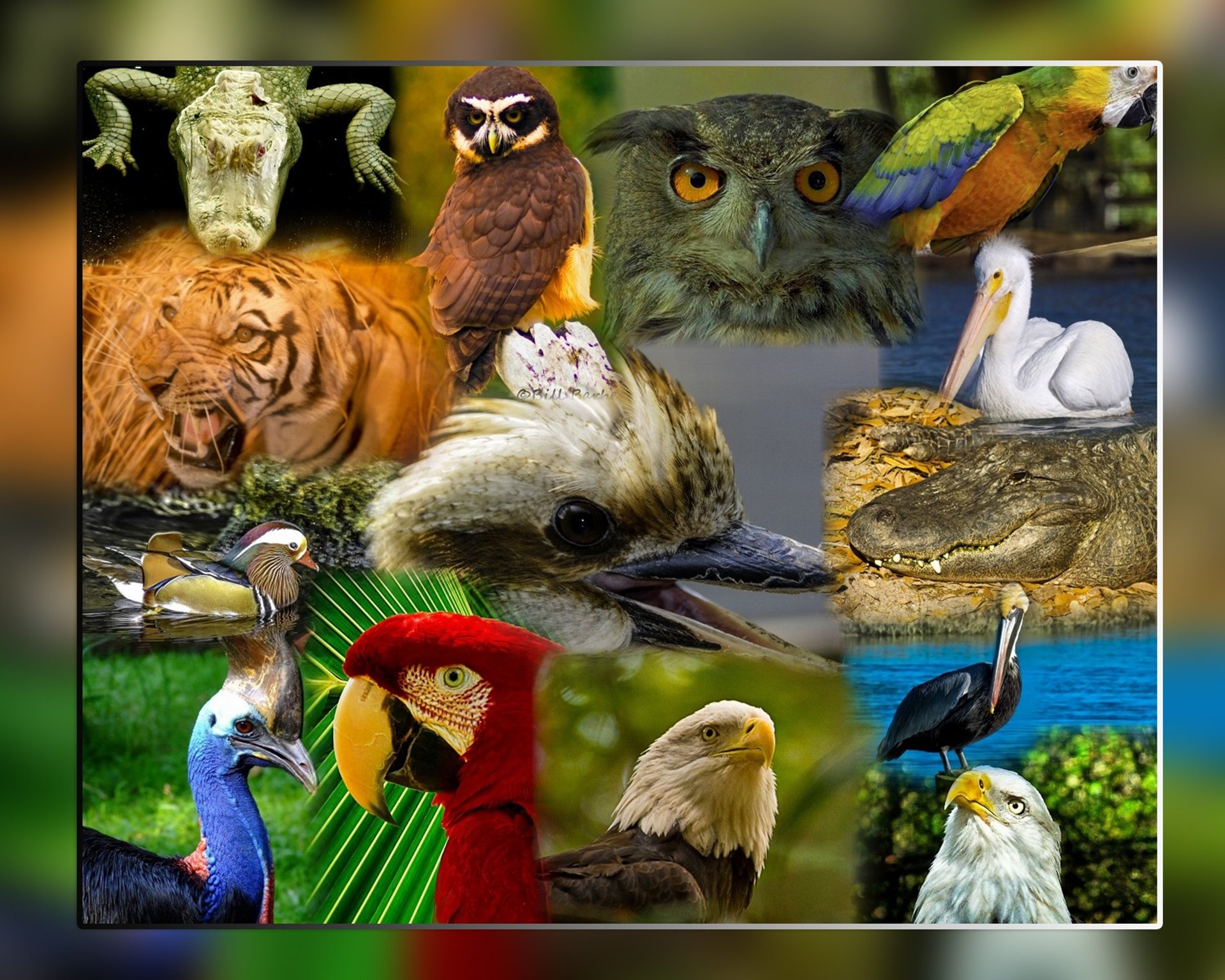 gray computer monitor