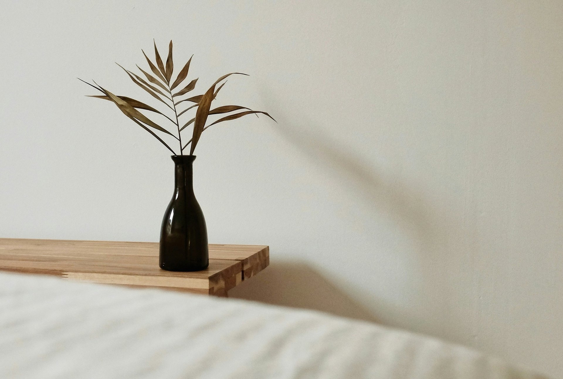 brown and green plant on brown wooden table