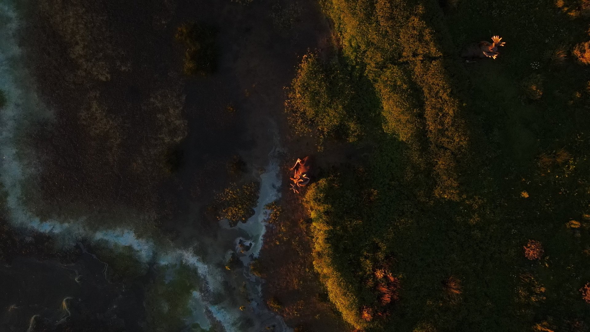 gray computer monitor