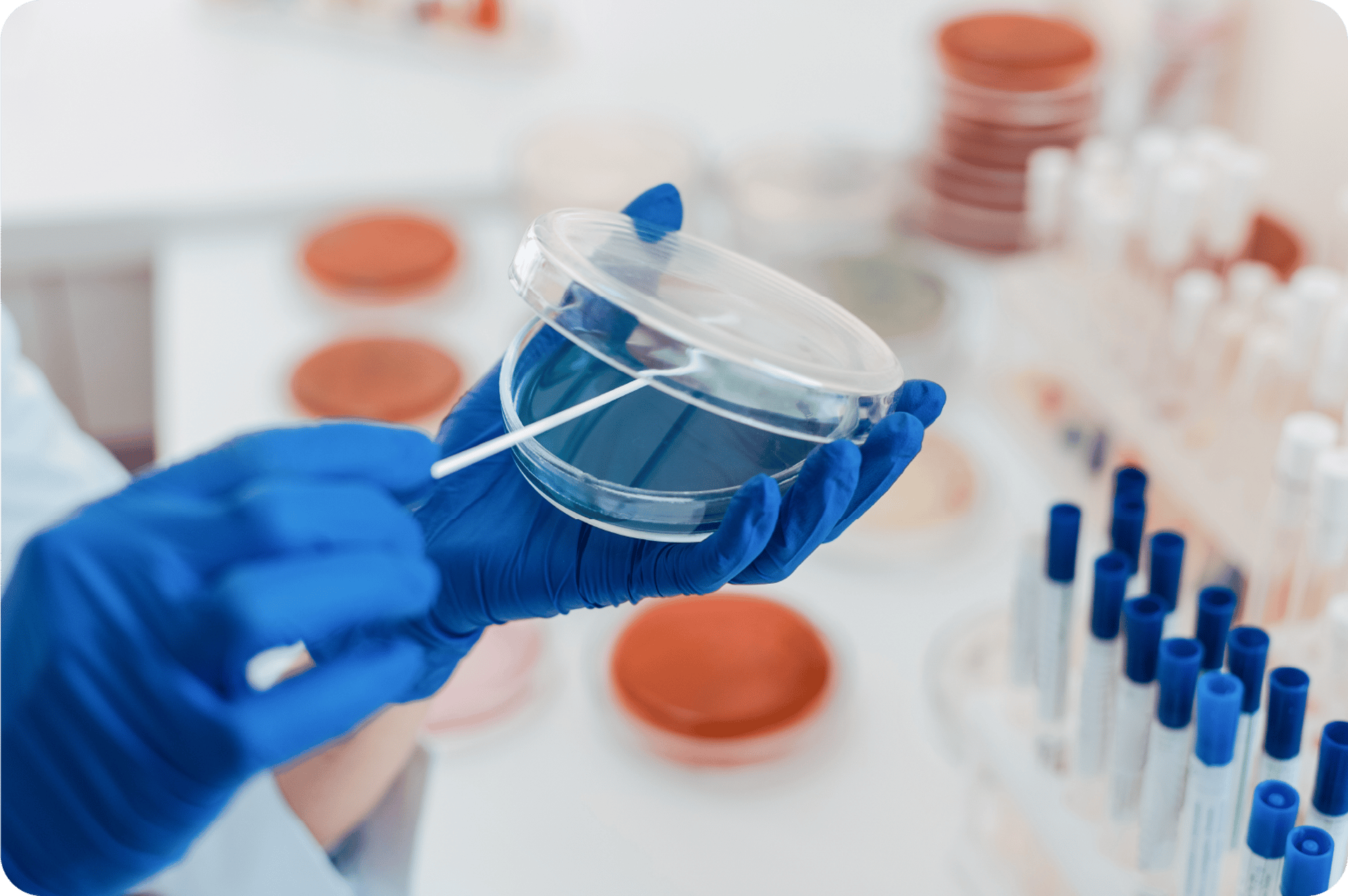 black blue and yellow textile