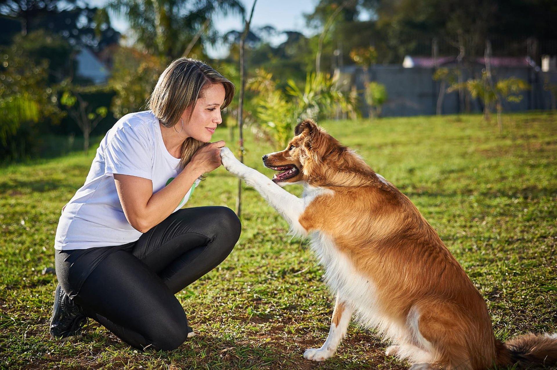 black and brown leather padded tub sofa
