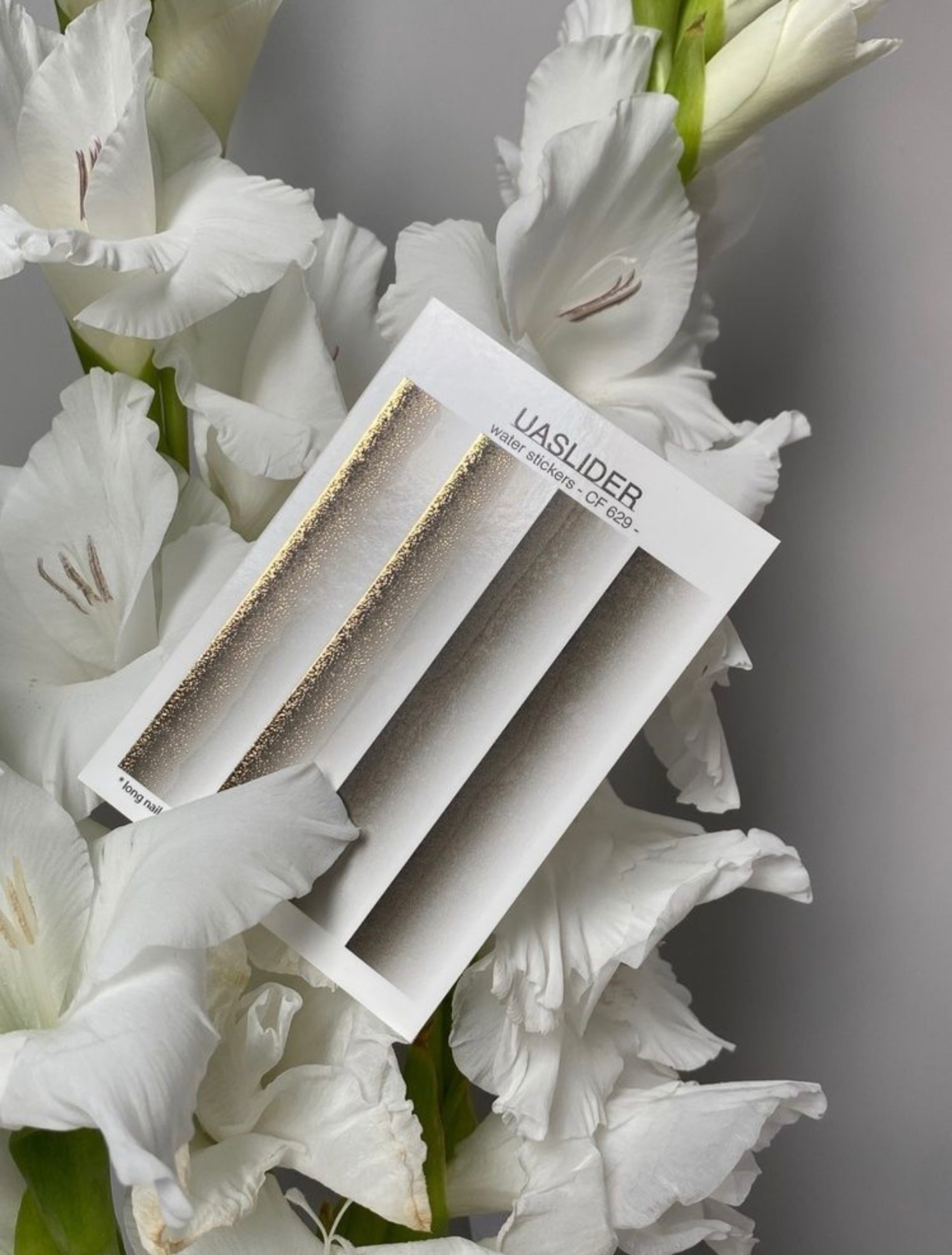 woman holding dried flower