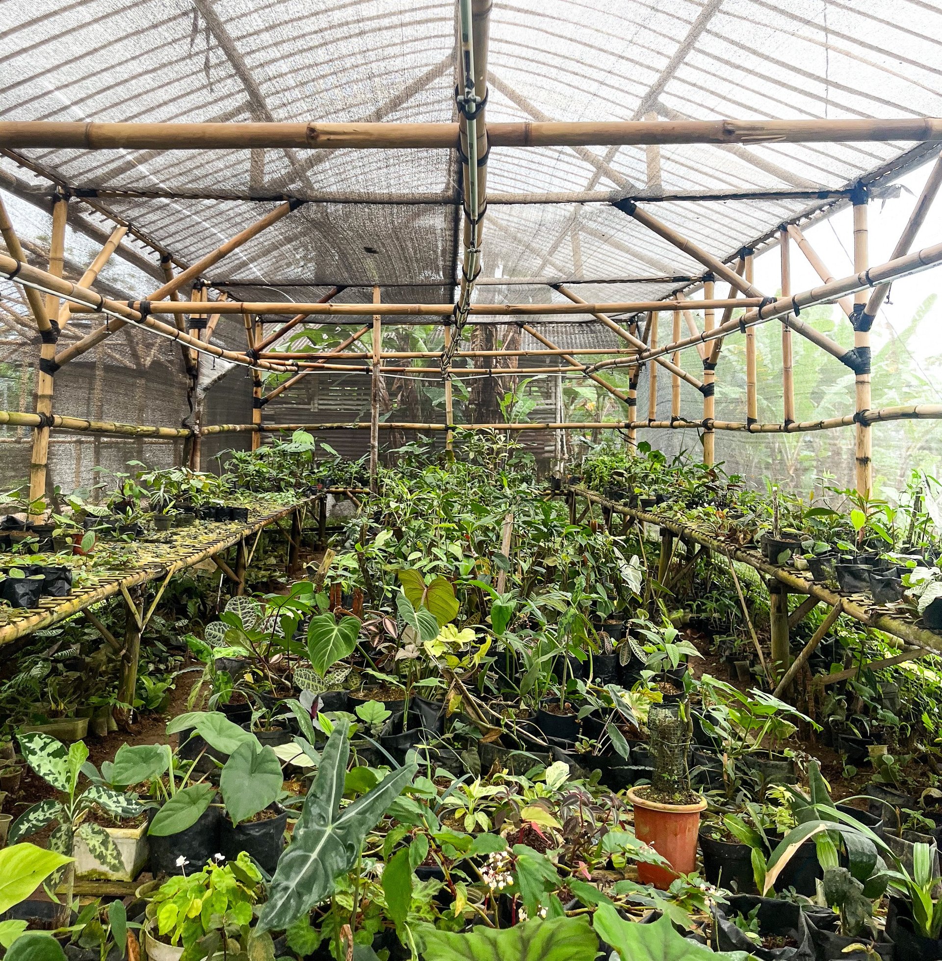 gray computer monitor