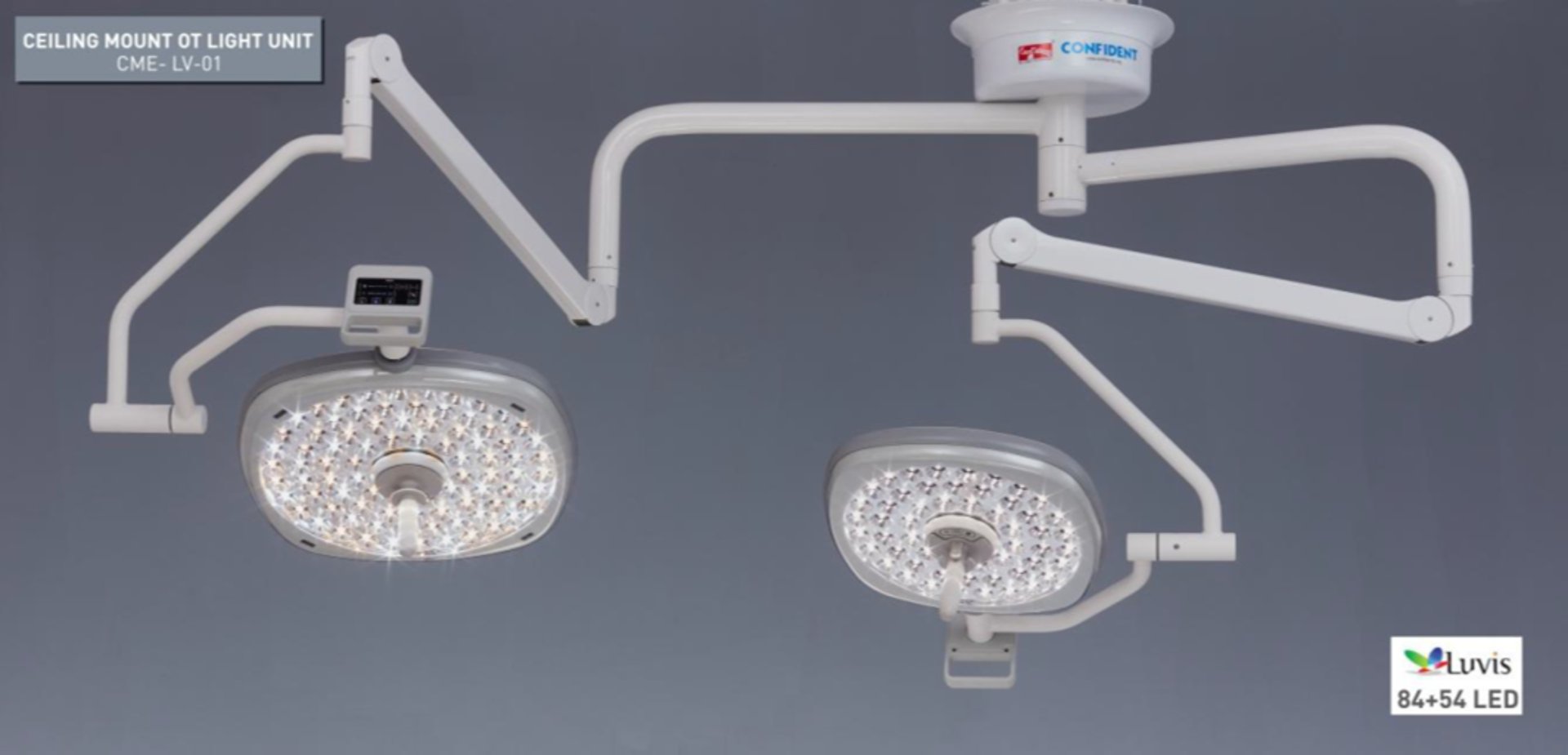 woman holding dried flower