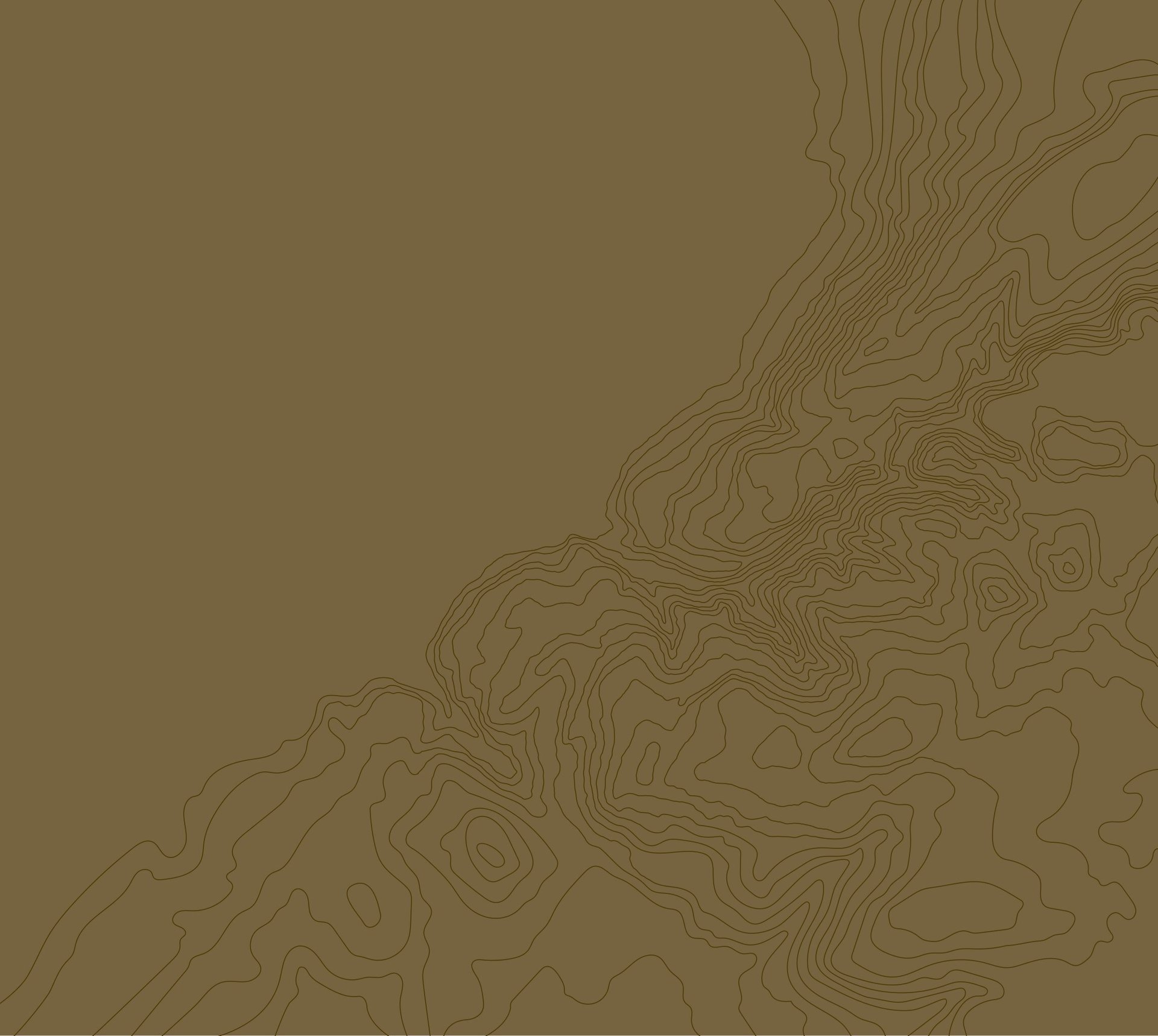 coffee bean lot