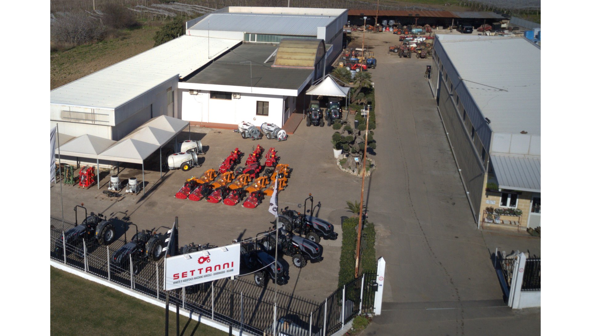 woman holding dried flower