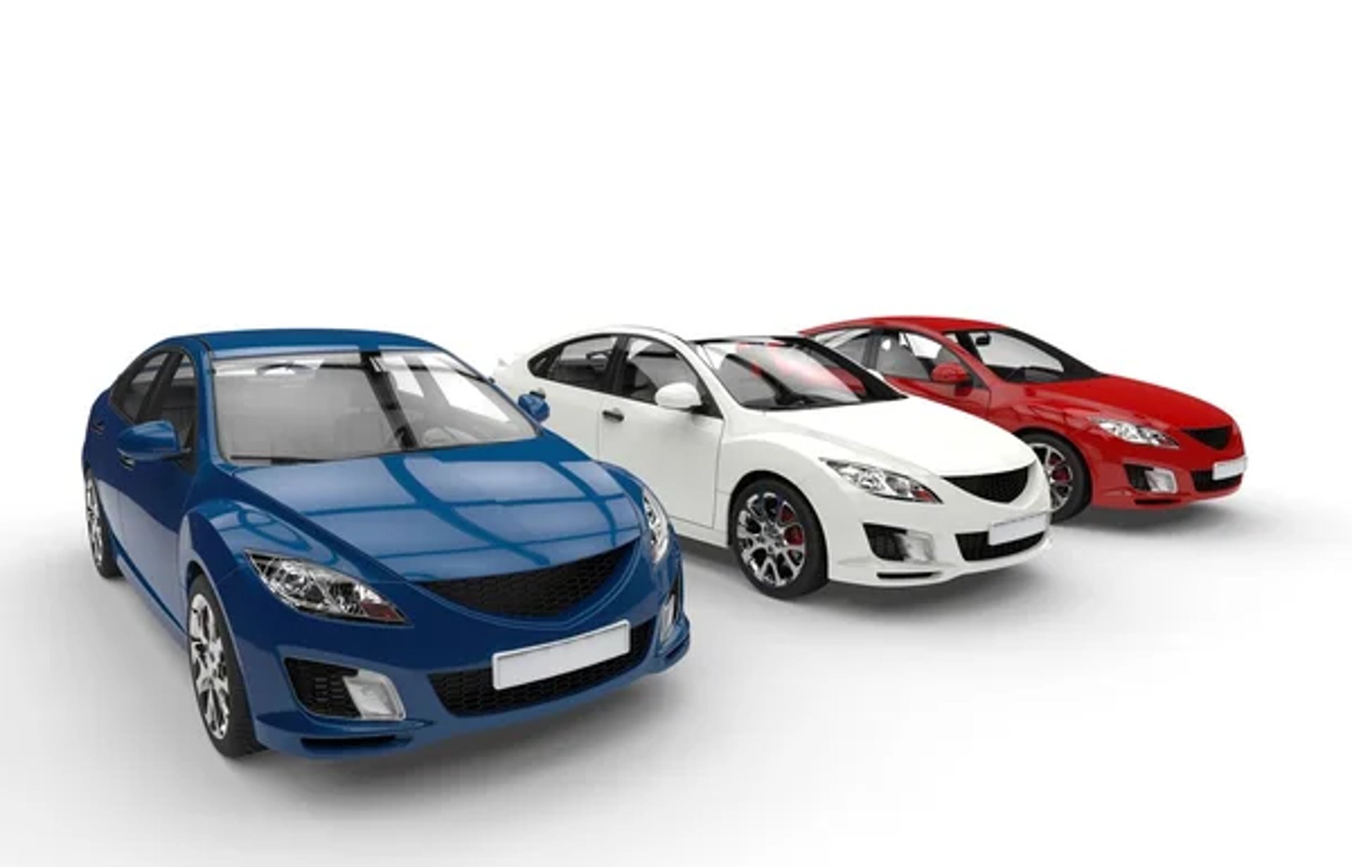 woman holding dried flower