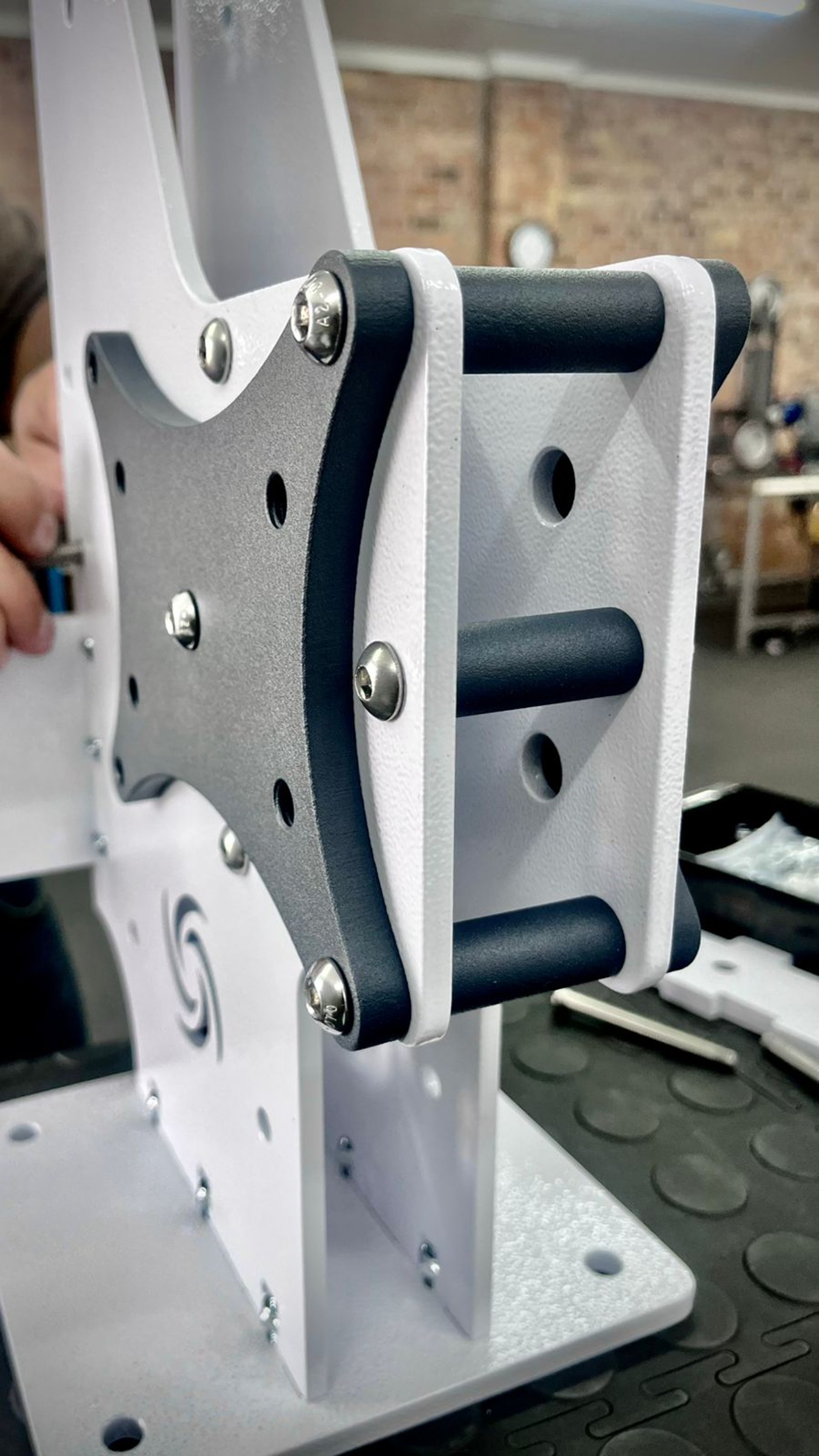 woman holding dried flower