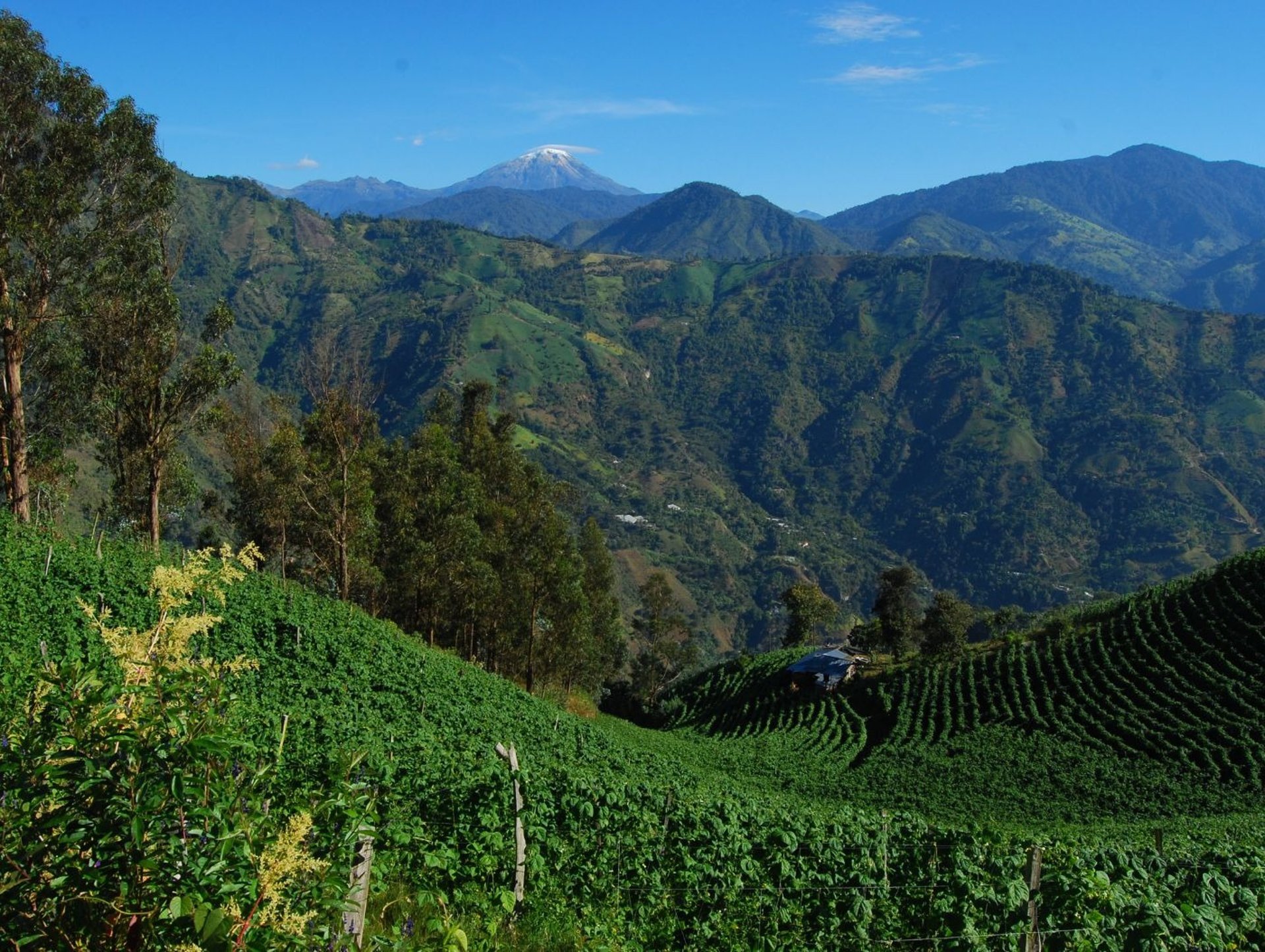 an abstract photo of a curved building with a blue sky in the background