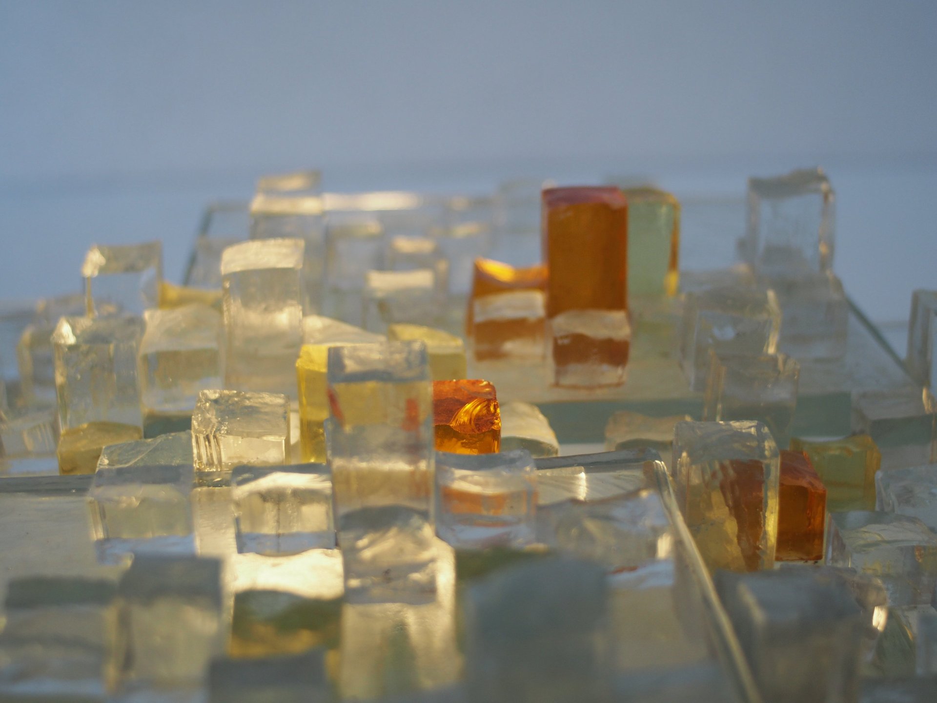 woman holding dried flower