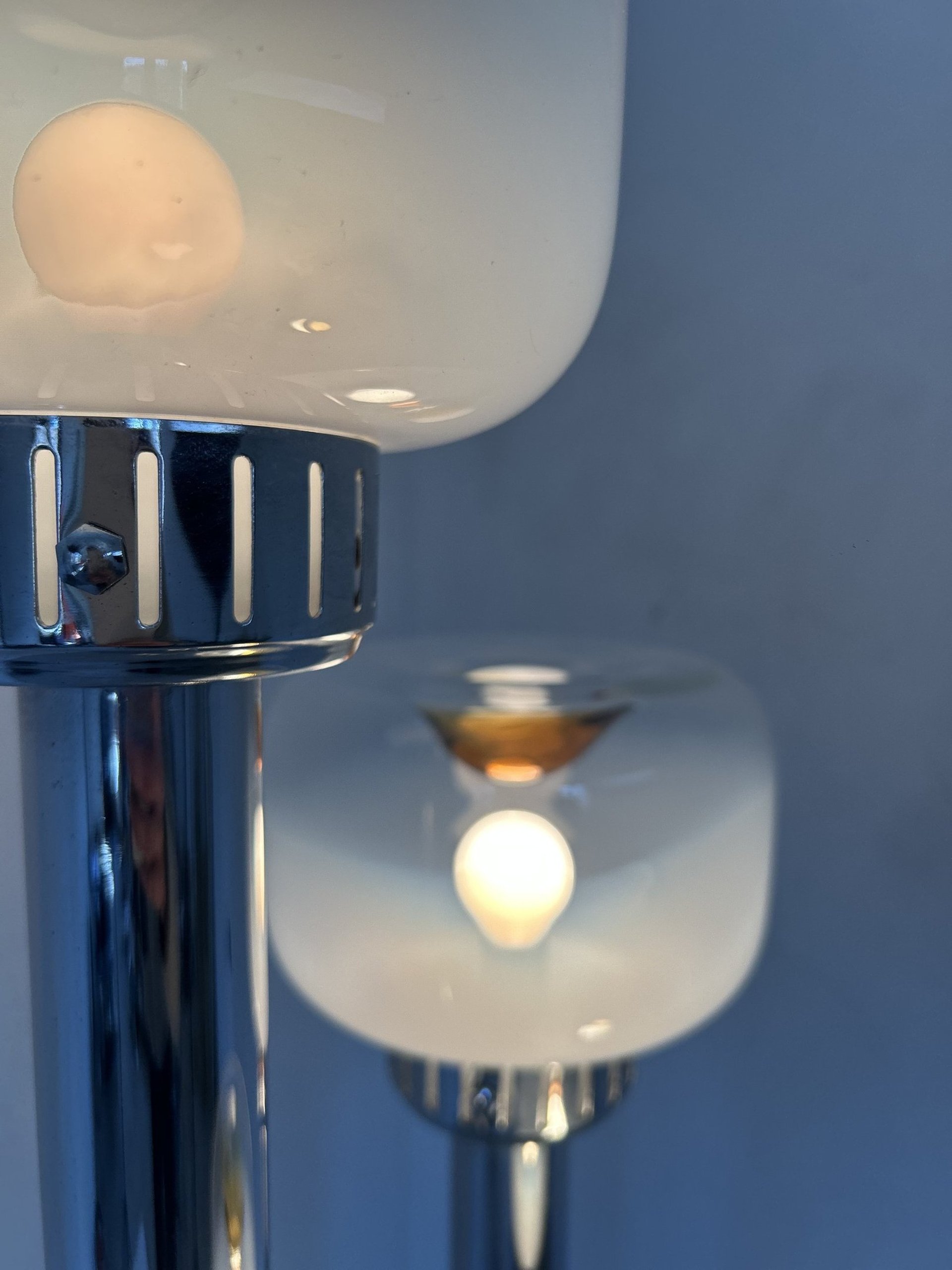 woman holding dried flower