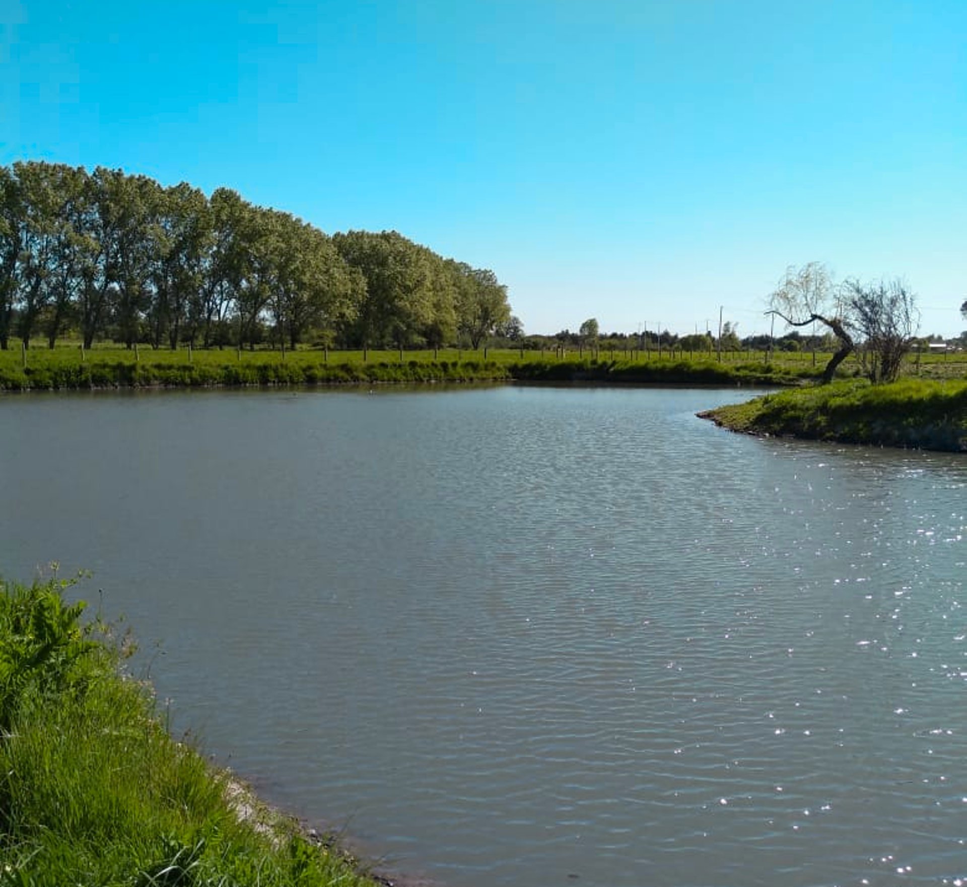 landscape photography of green land under bluesky