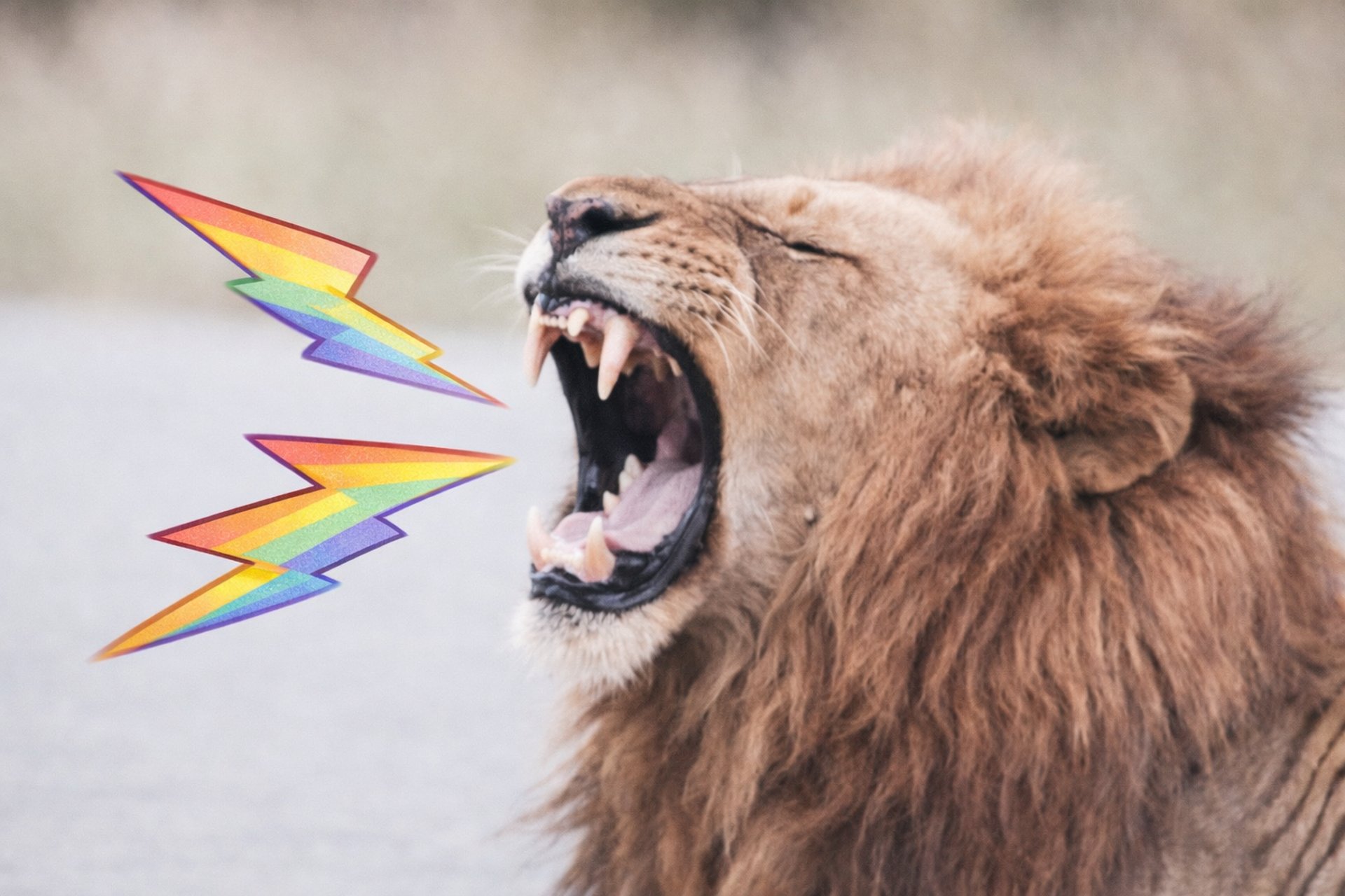 brown lion with white tongue out