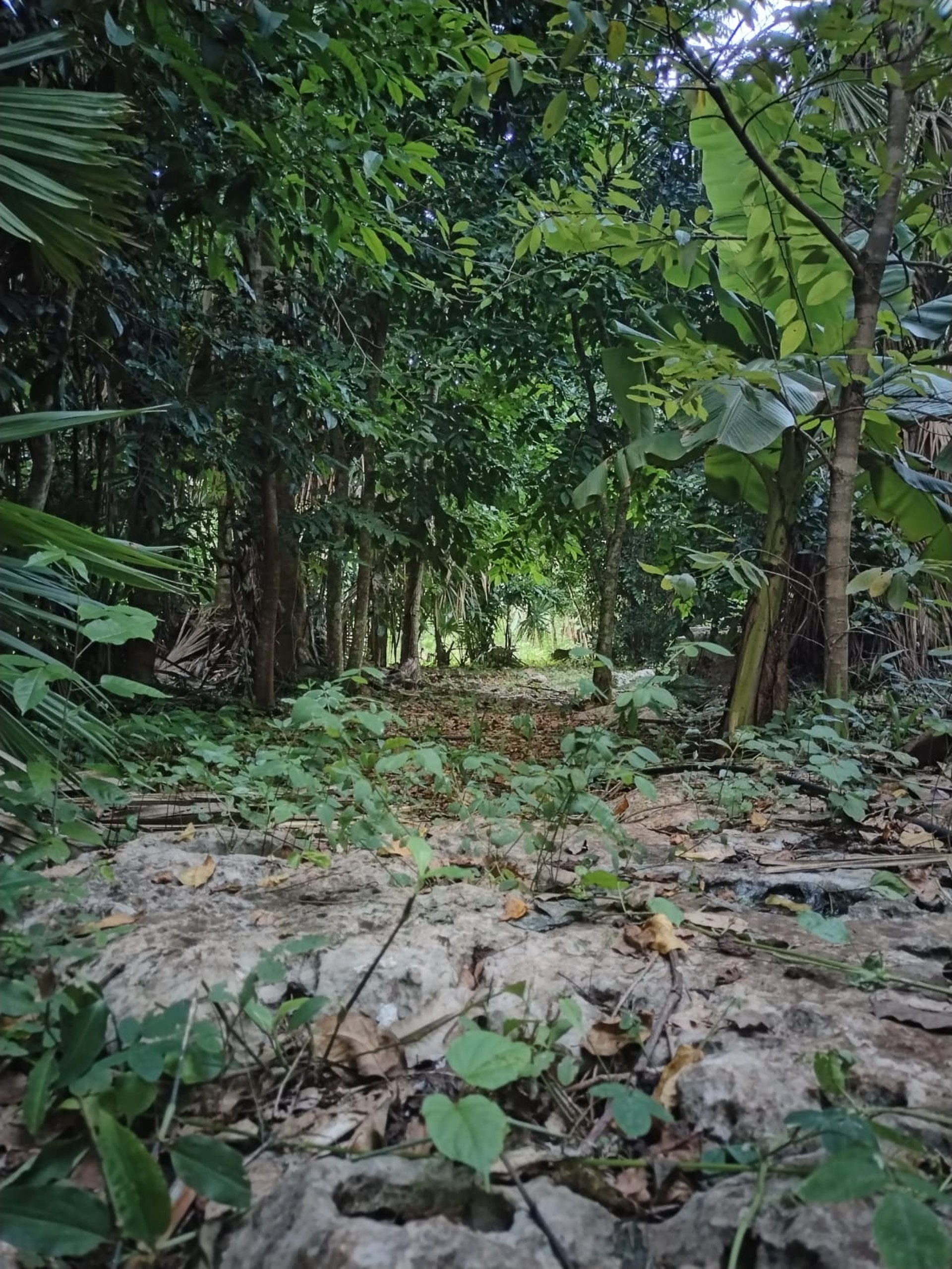 an abstract photo of a curved building with a blue sky in the background