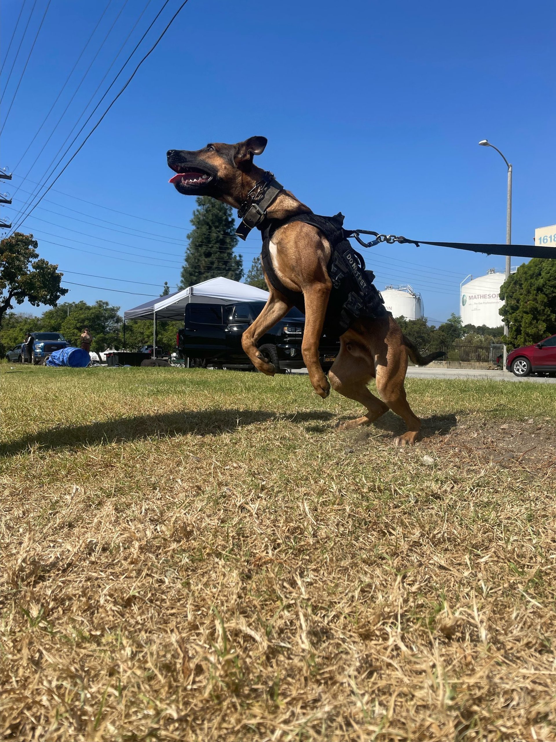 black and brown leather padded tub sofa