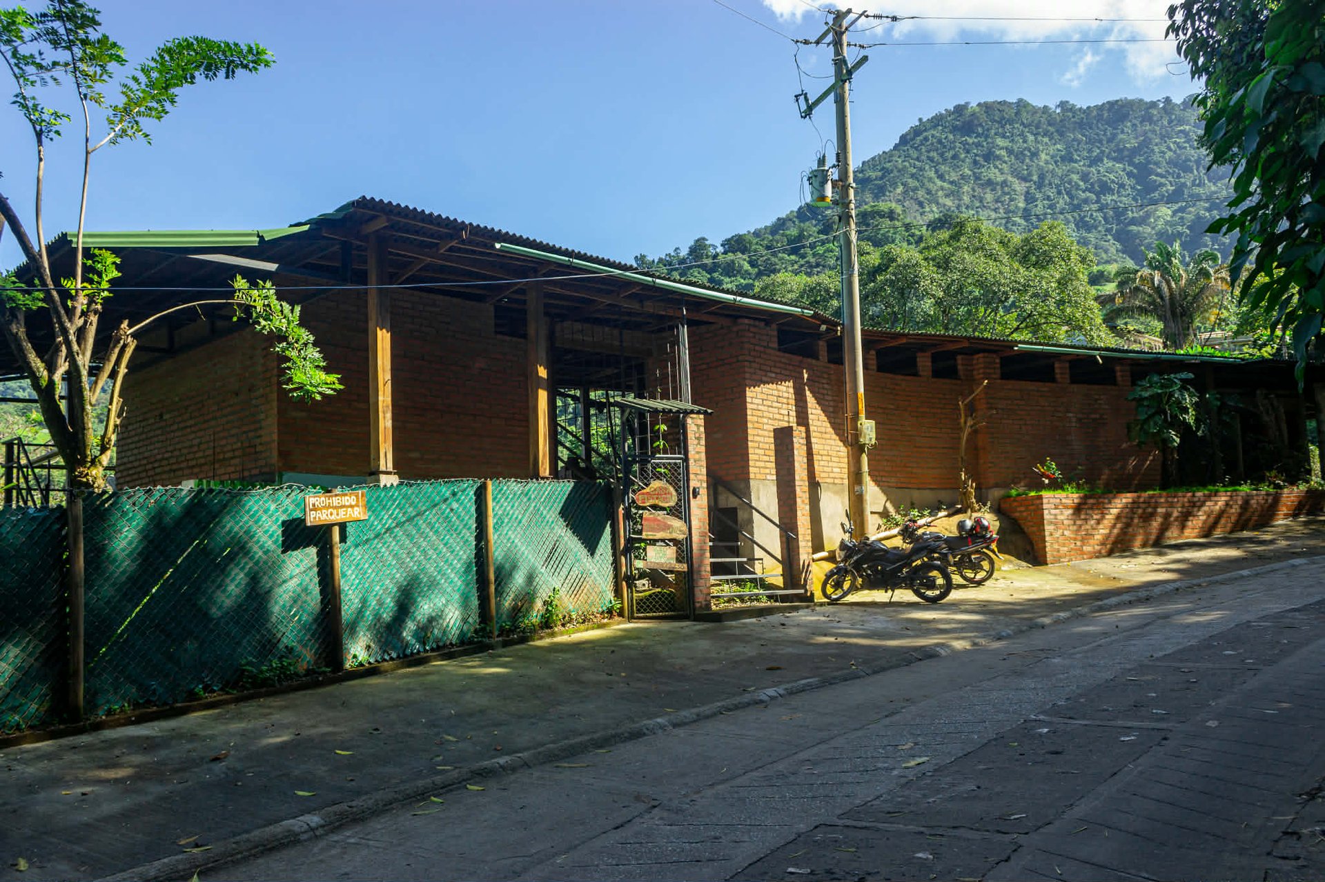 woman wearing yellow long-sleeved dress under white clouds and blue sky during daytime
