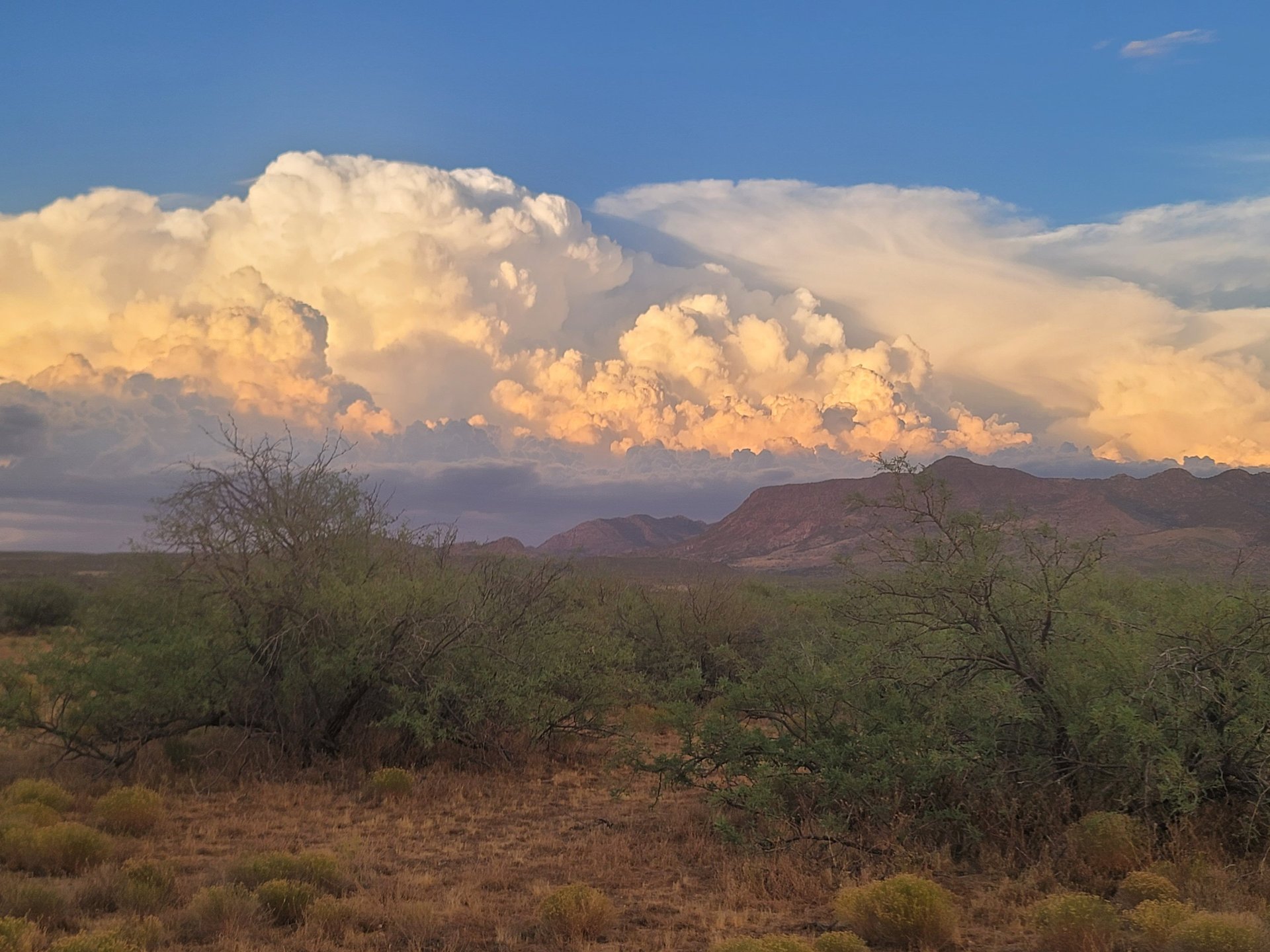 gray computer monitor