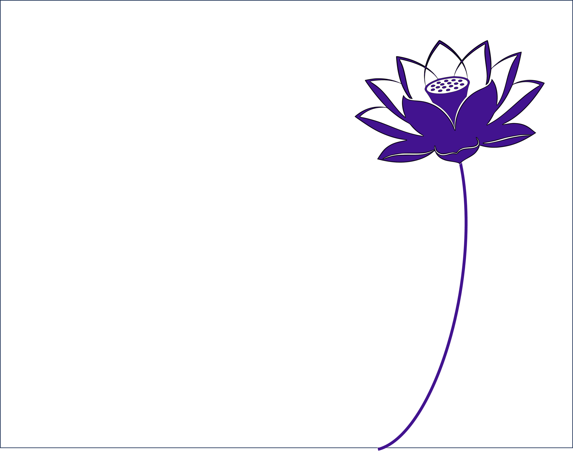 a purple lotus flower sitting on top of a green leafy plant
