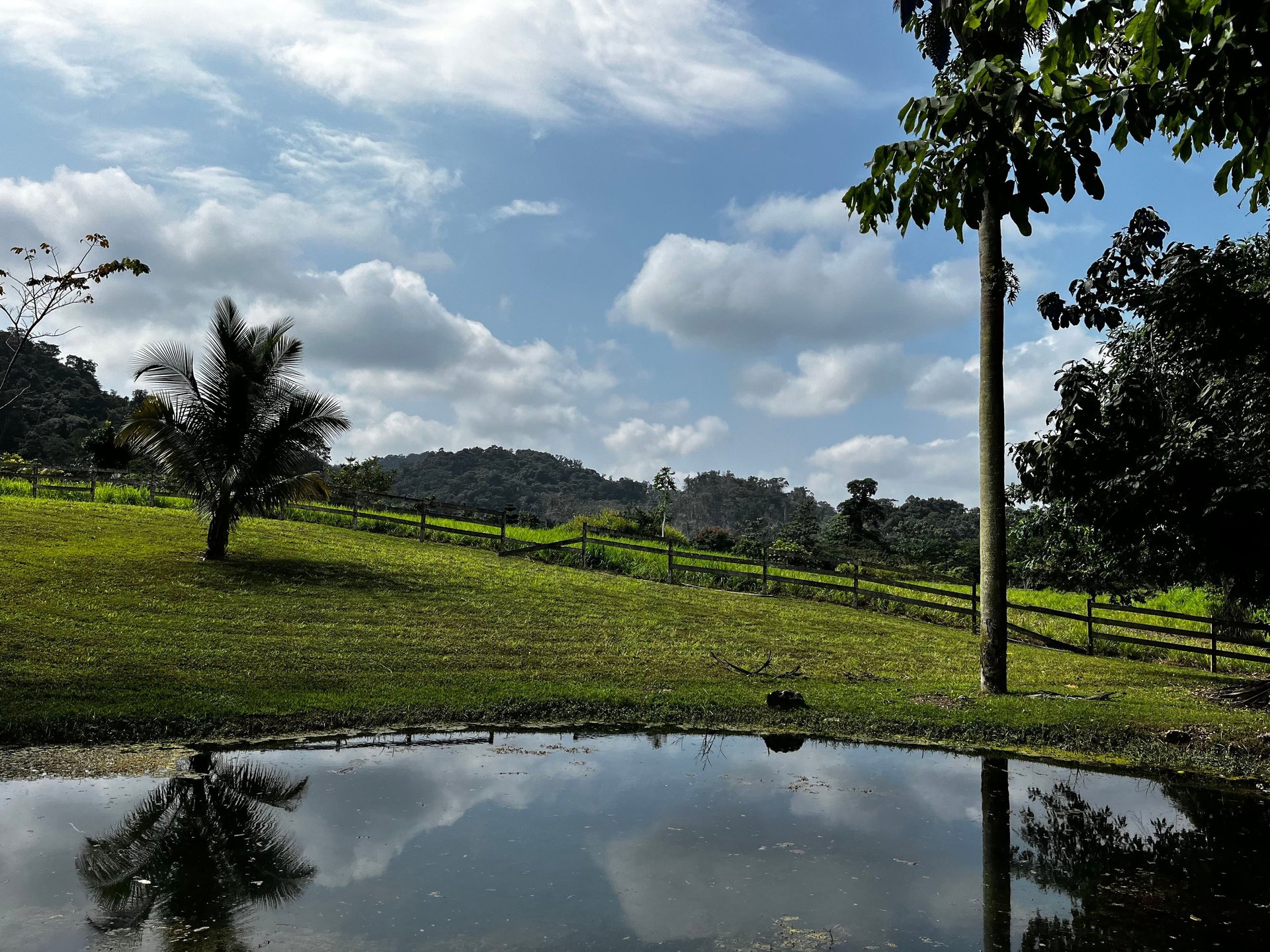 black blue and yellow textile