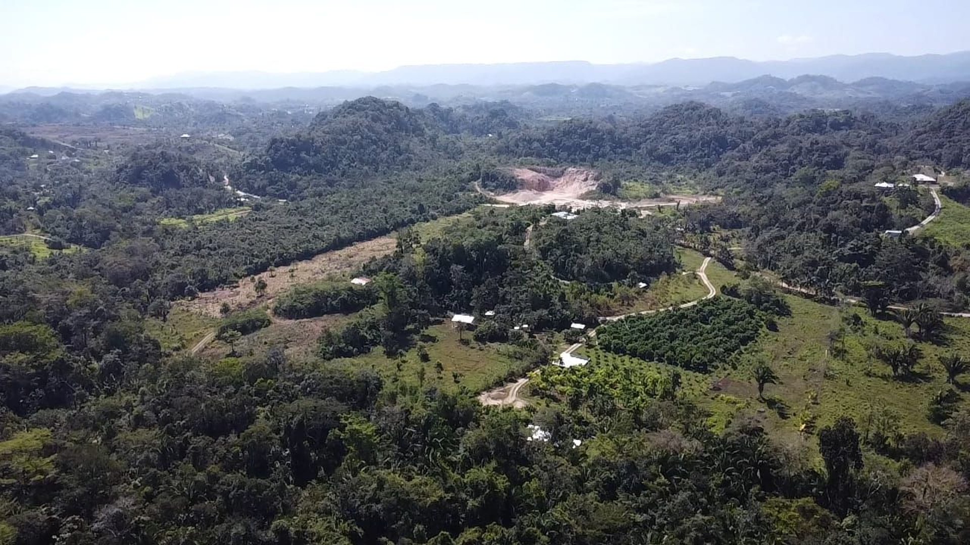 black blue and yellow textile