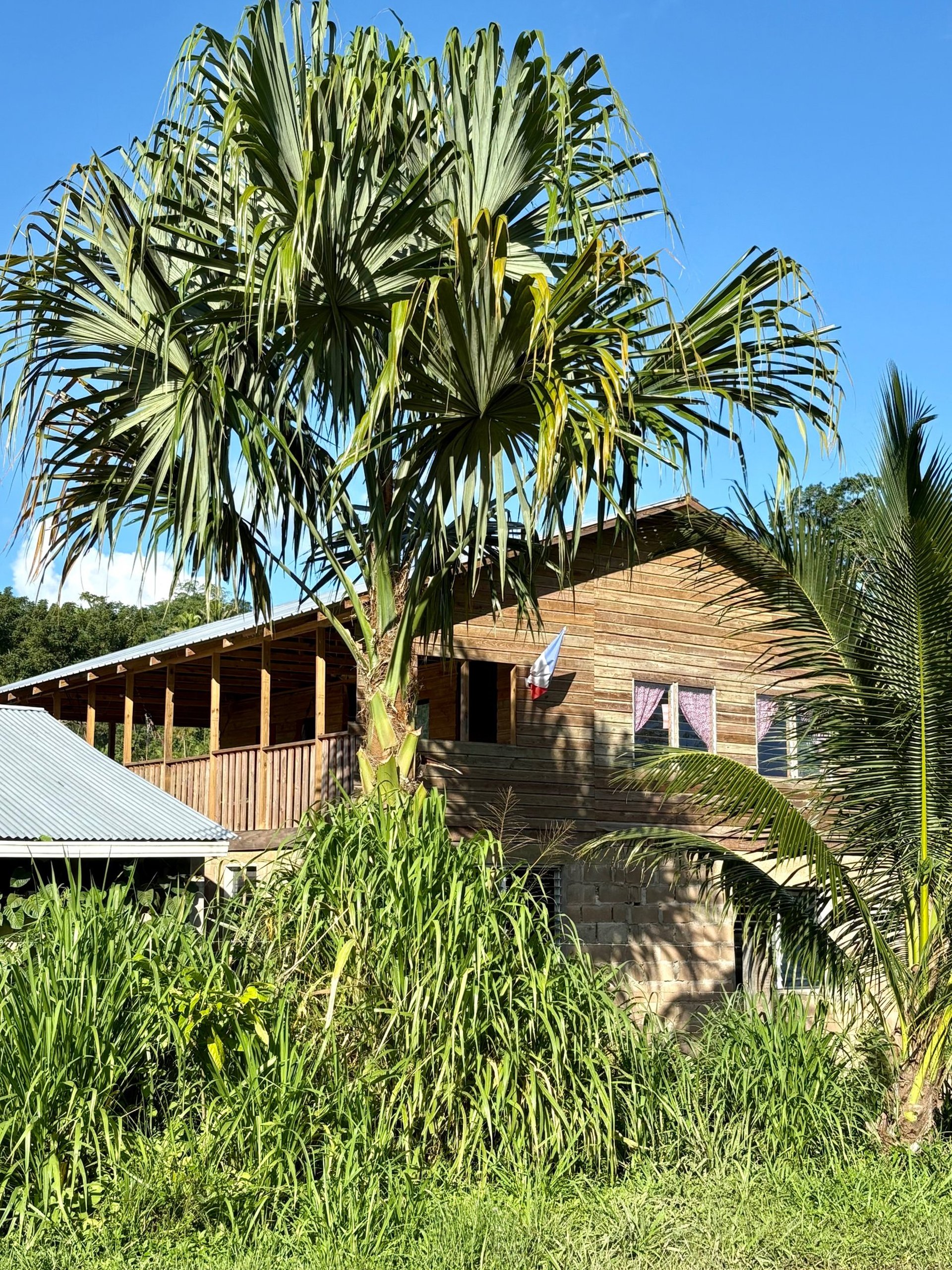 black blue and yellow textile