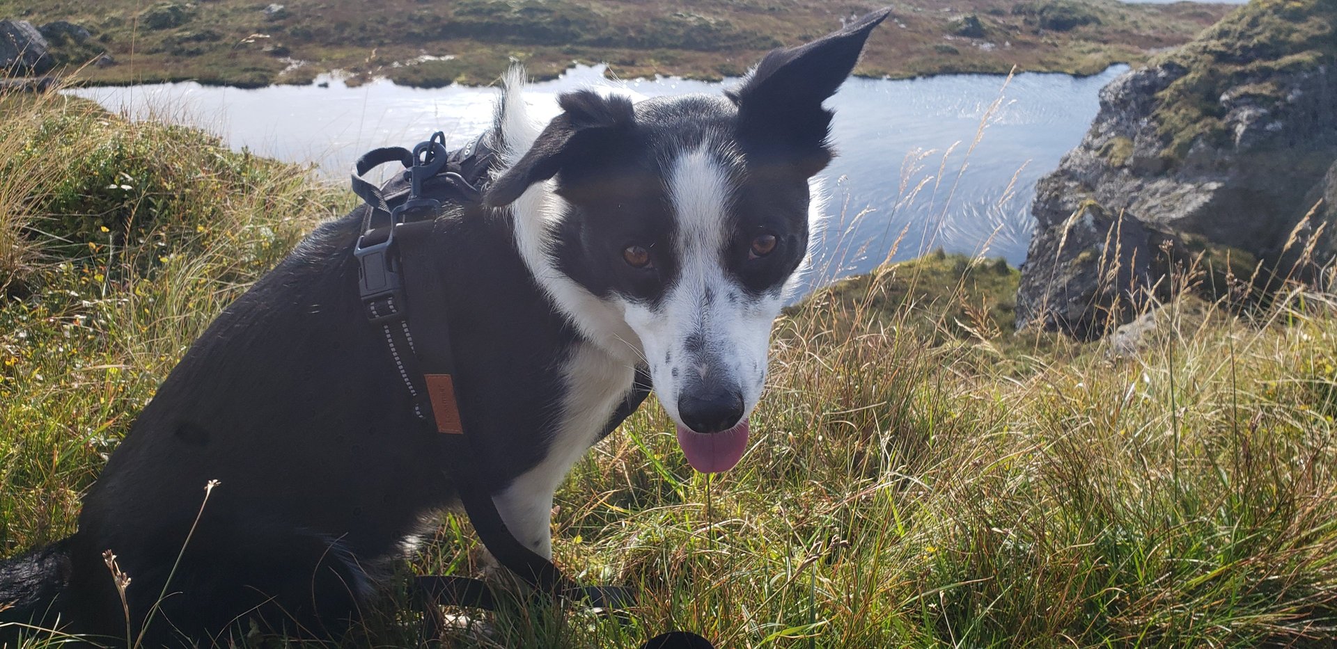 gray computer monitor