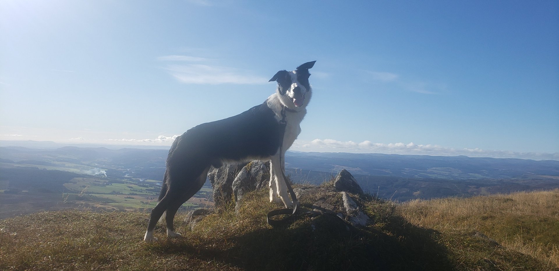 gray computer monitor