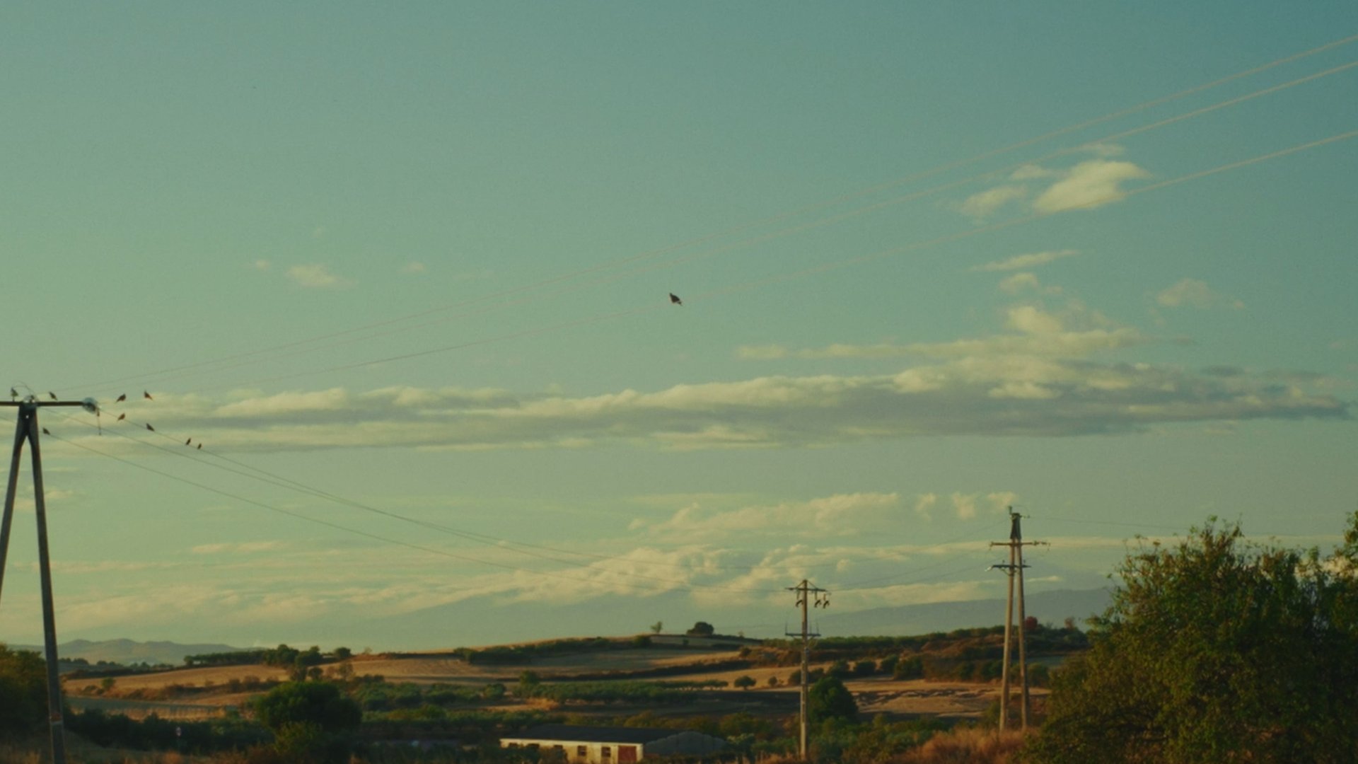 gray computer monitor