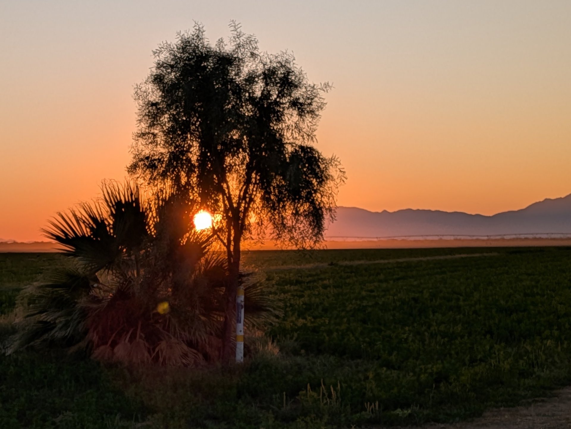 woman wearing yellow long-sleeved dress under white clouds and blue sky during daytime