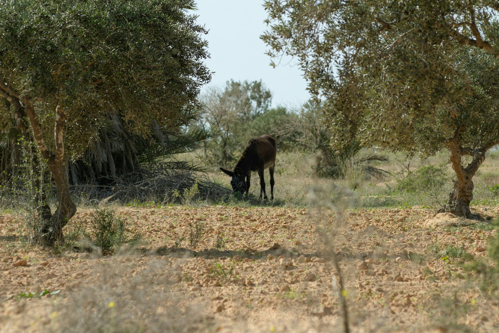 mountain range under blue sky