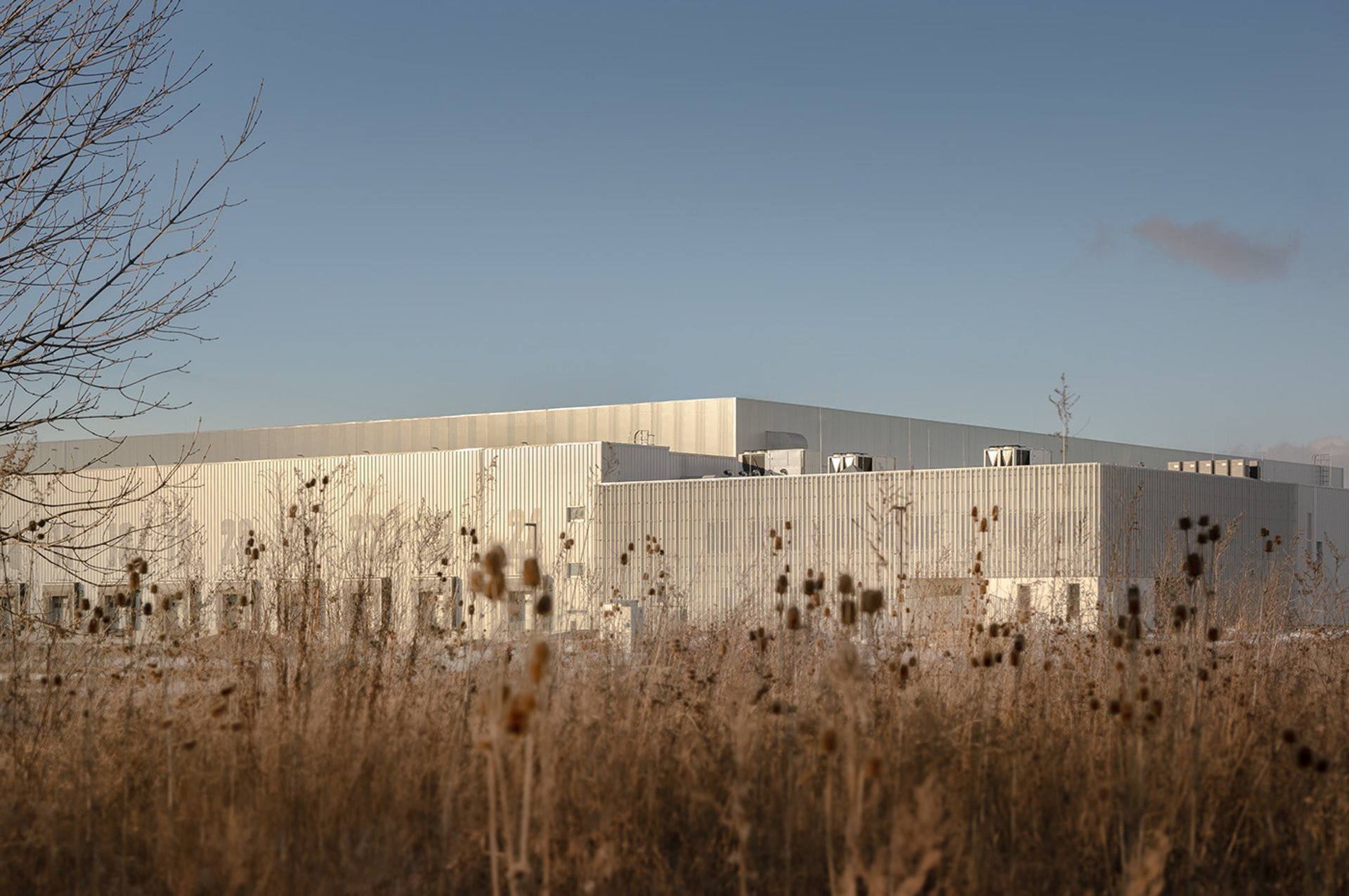 woman in white and brown dress standing on green grass during night time