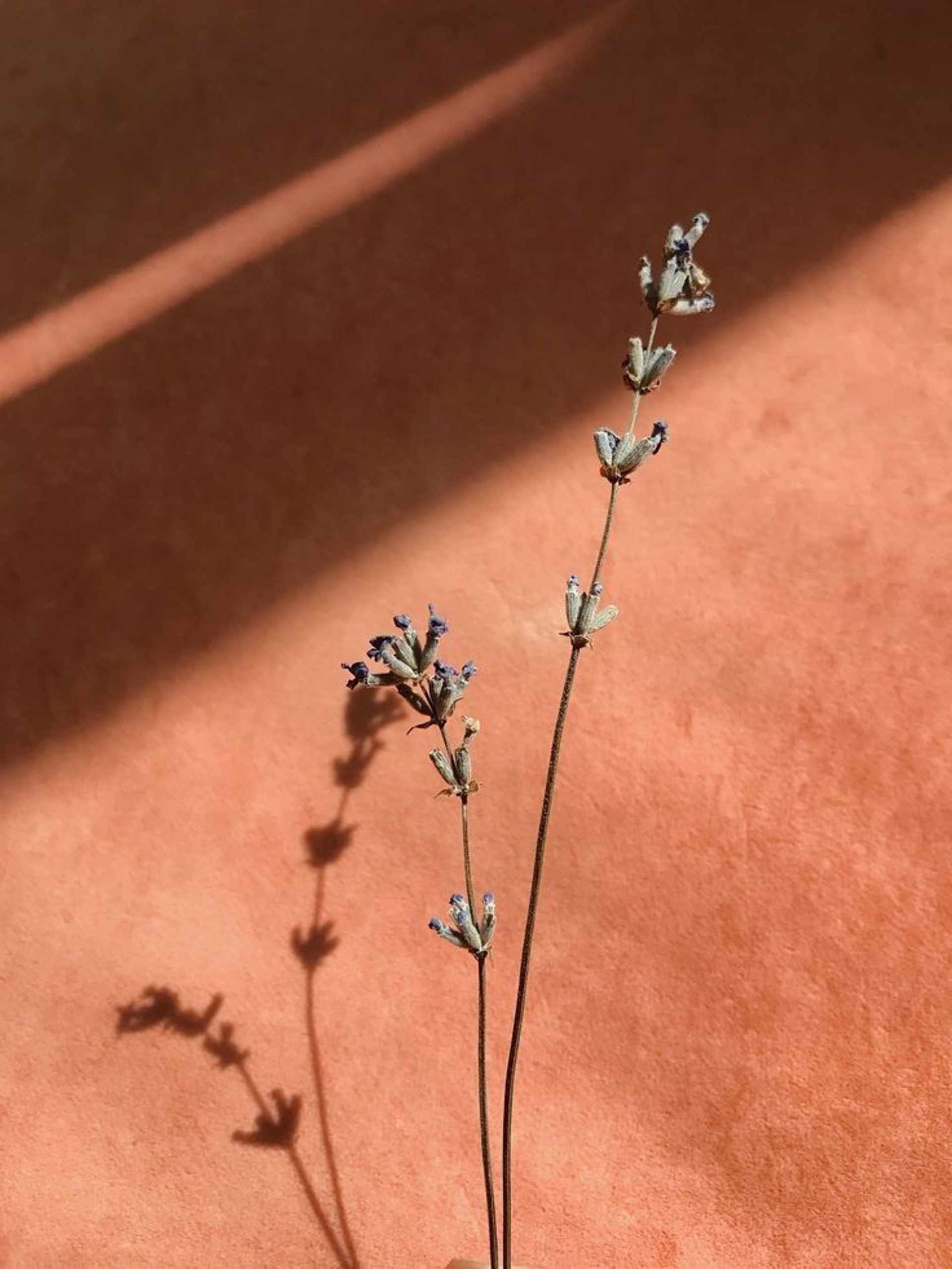 gray computer monitor