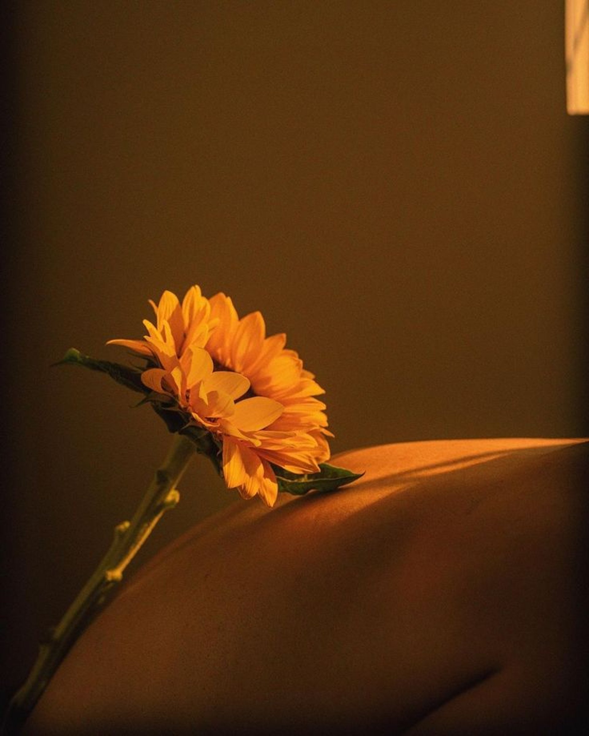 the sun is setting behind some trees