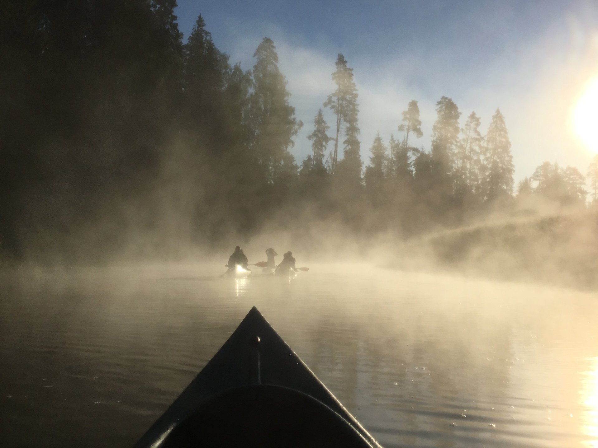 an abstract photo of a curved building with a blue sky in the background