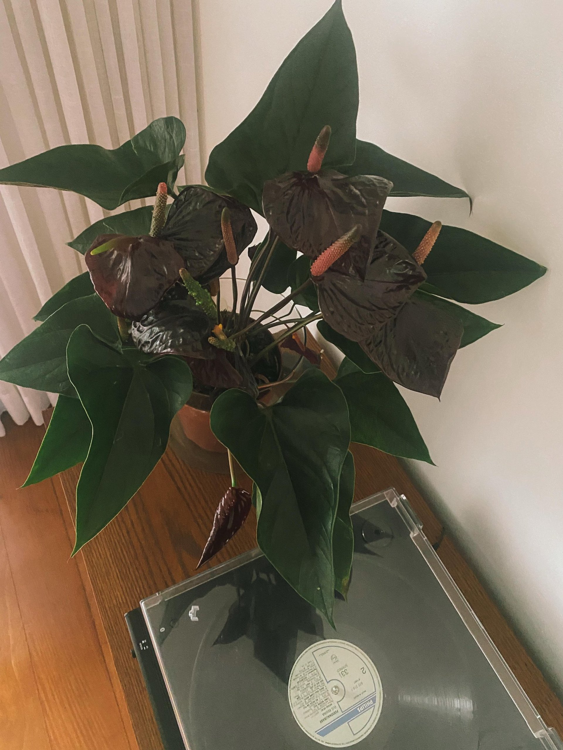 woman wearing yellow long-sleeved dress under white clouds and blue sky during daytime