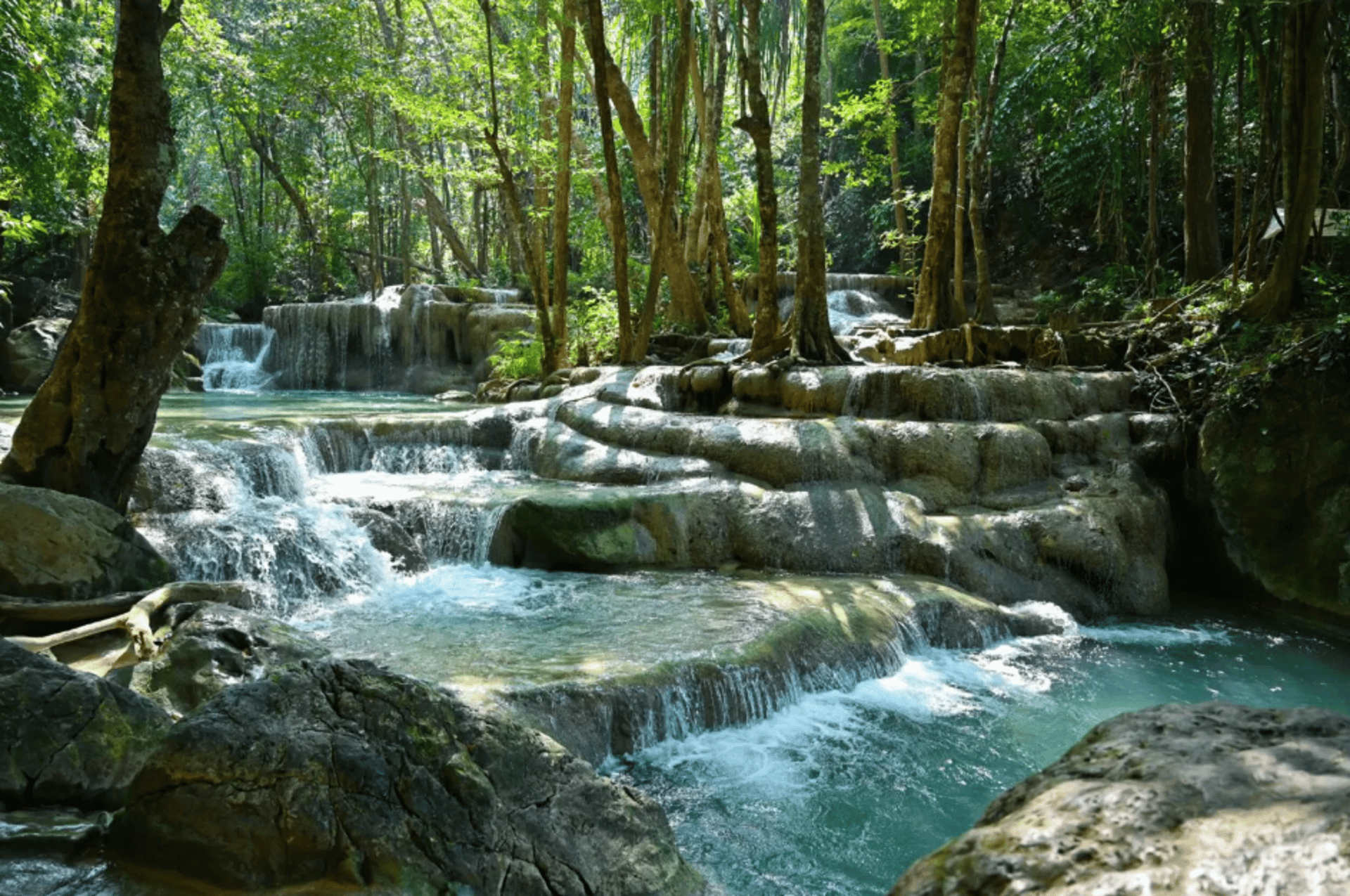 gray computer monitor
