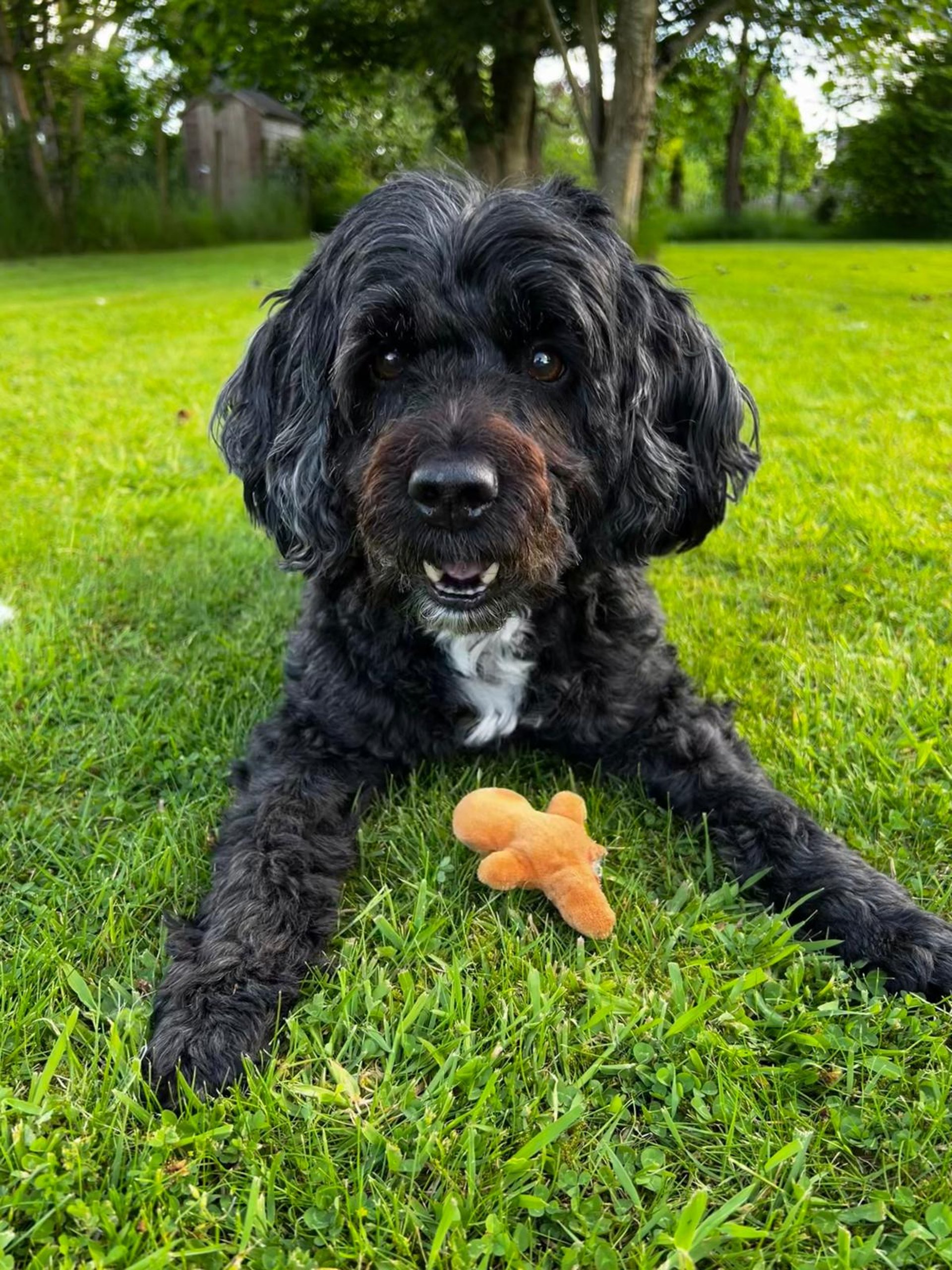 black and white bed linen