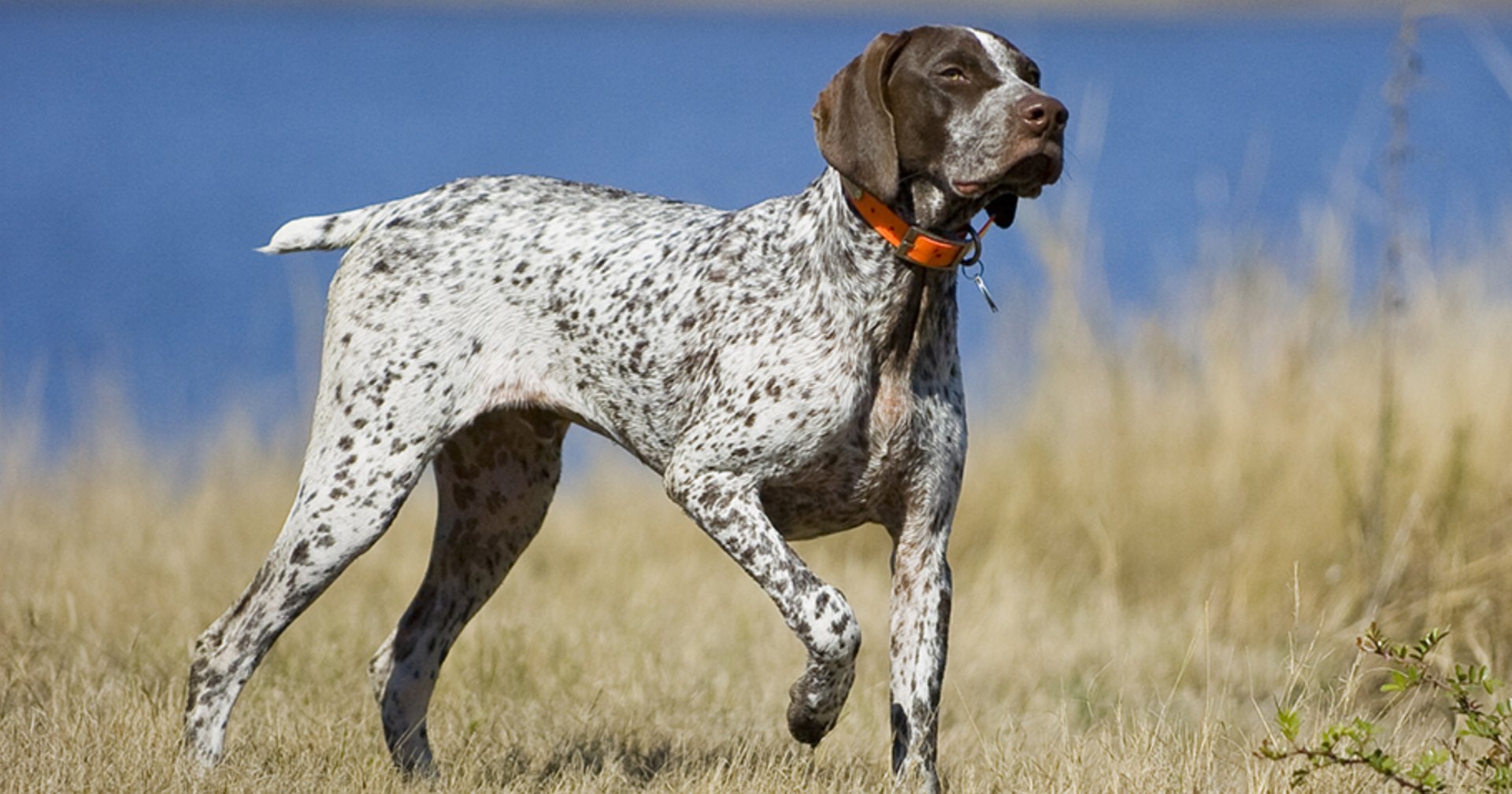 woman wearing yellow long-sleeved dress under white clouds and blue sky during daytime