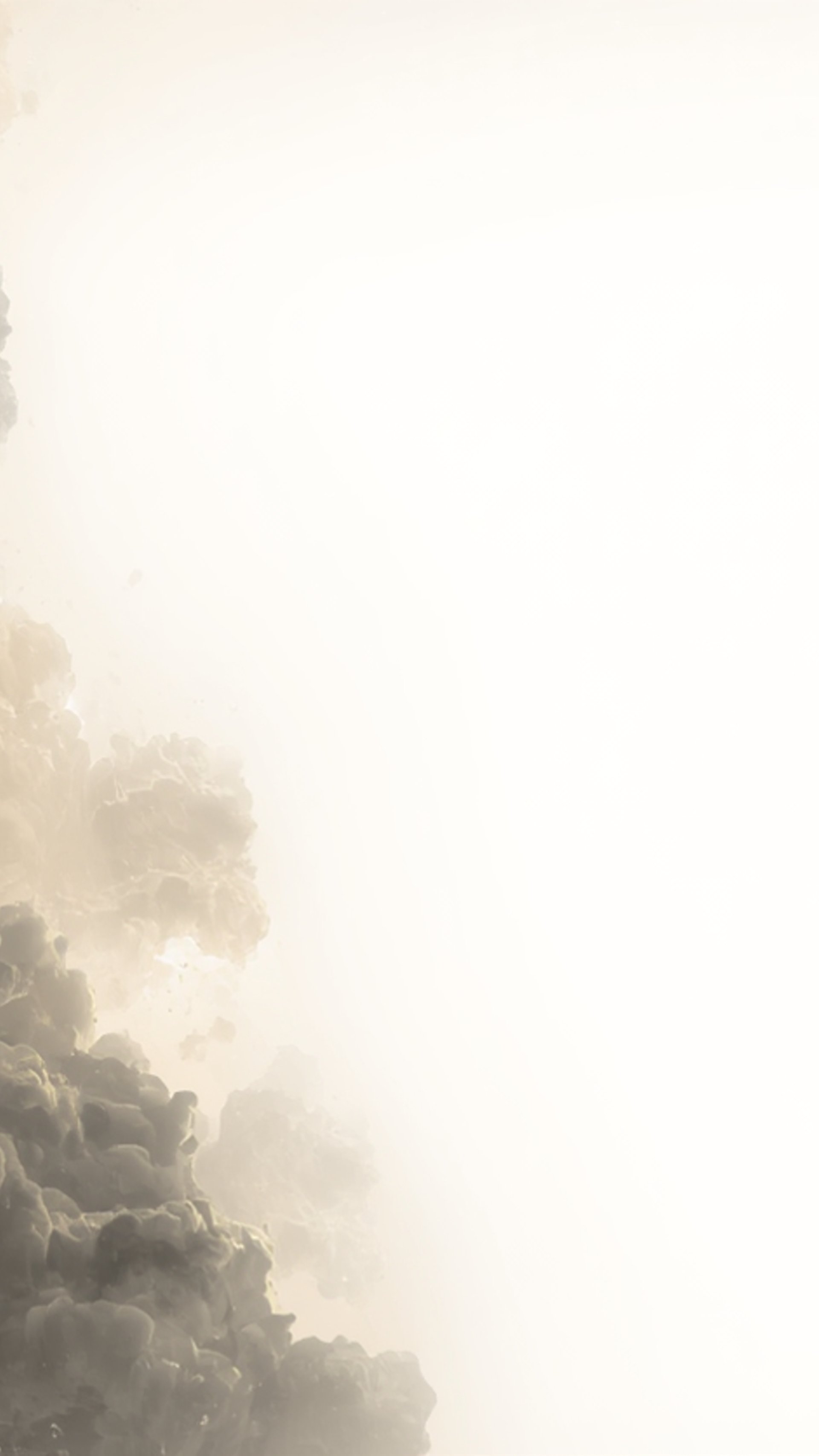 an abstract photo of a curved building with a blue sky in the background