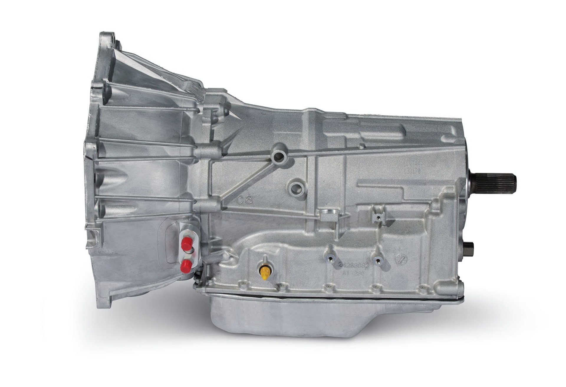 woman holding dried flower