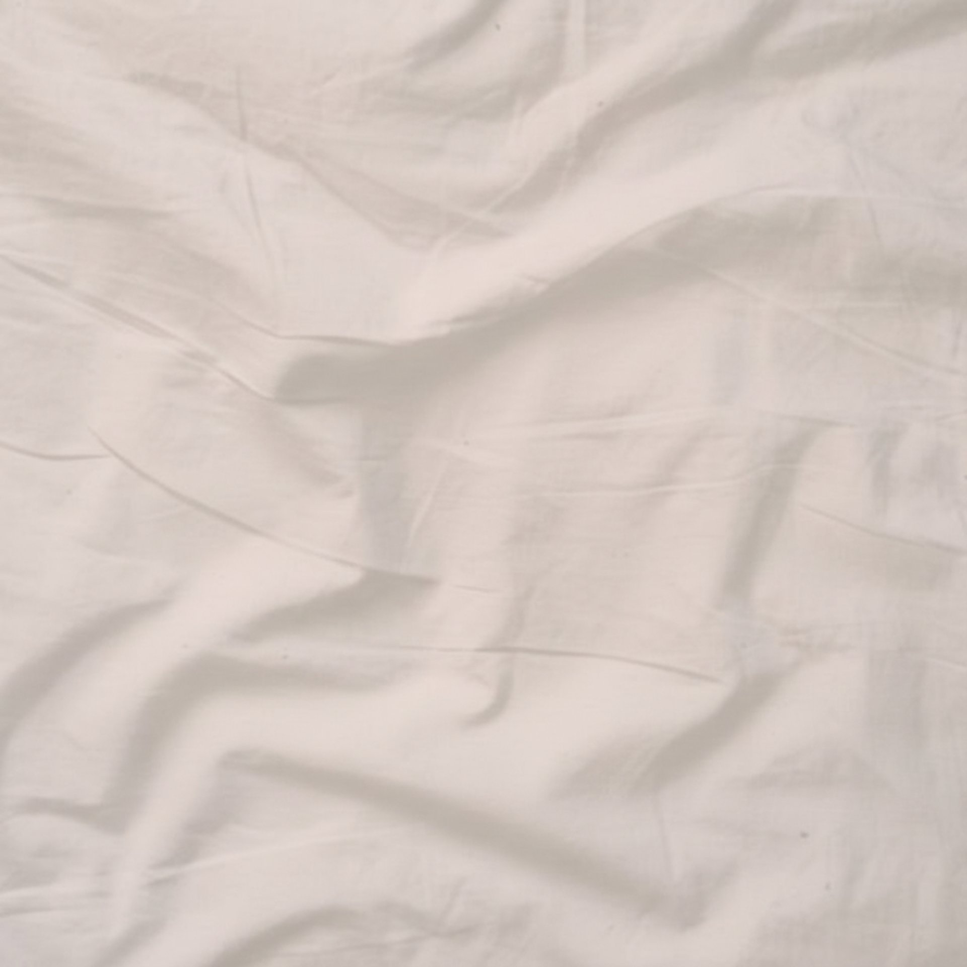 woman holding dried flower