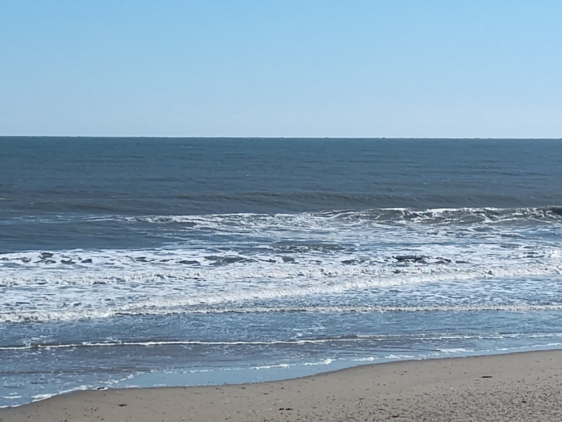 white and black wooden signage