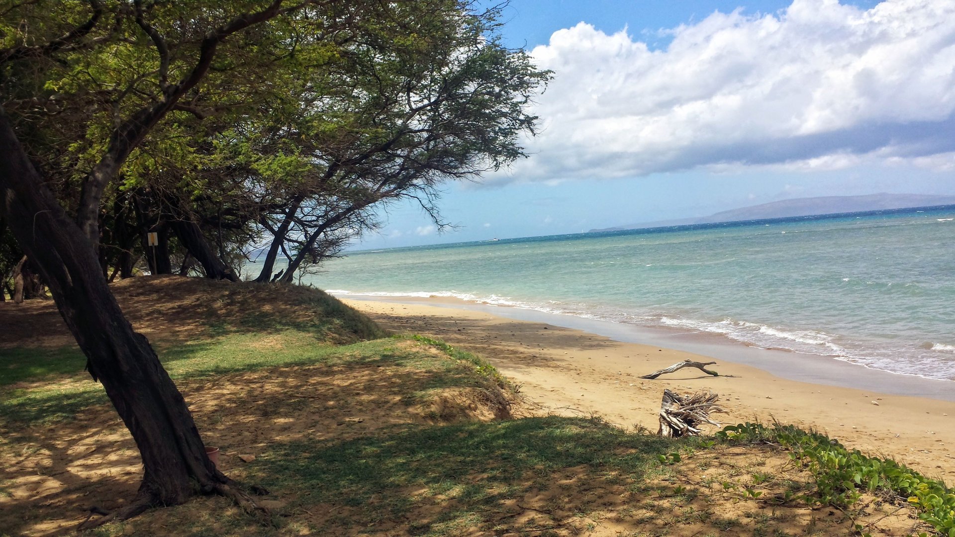 woman wearing yellow long-sleeved dress under white clouds and blue sky during daytime