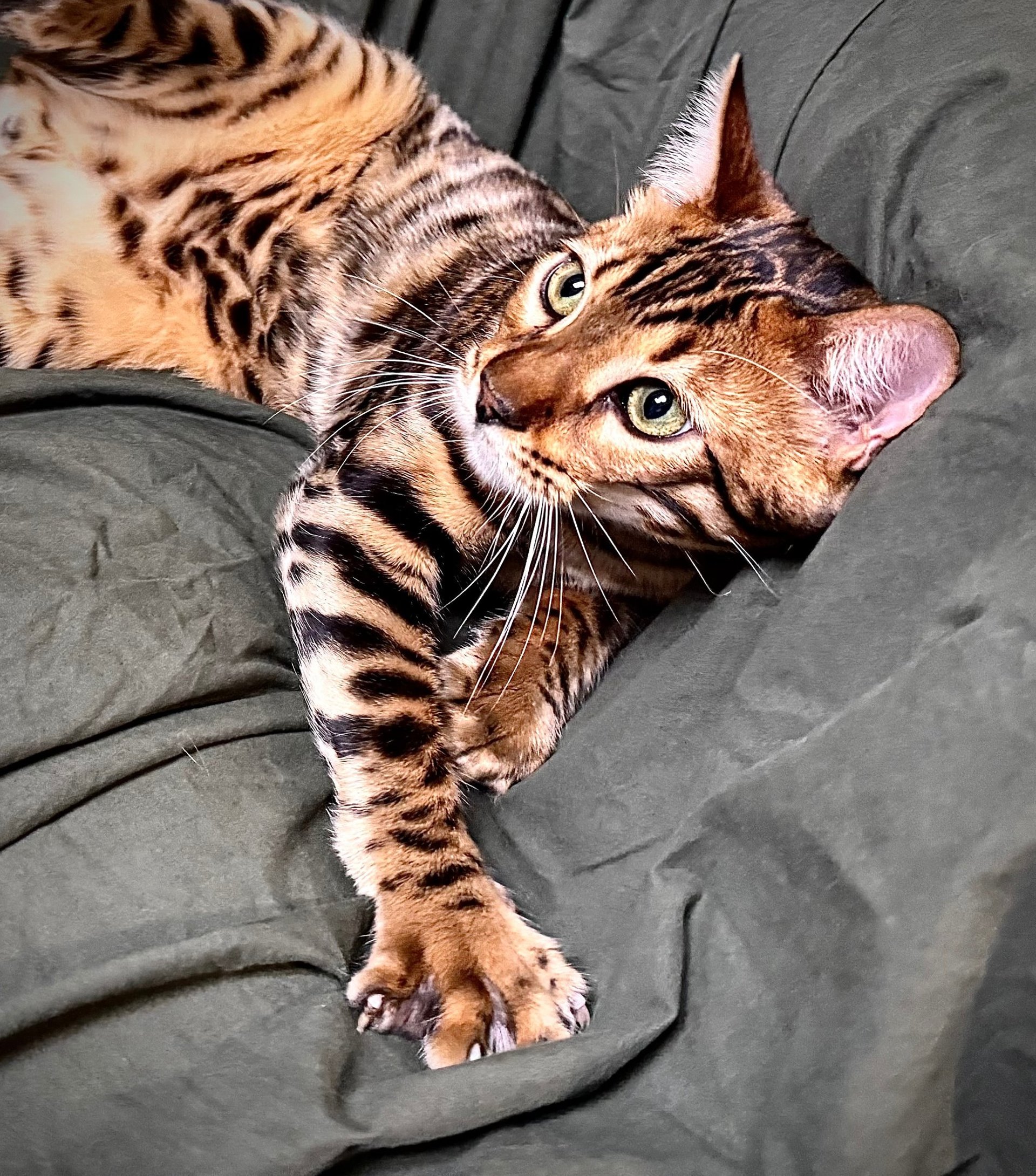 an abstract photo of a curved building with a blue sky in the background