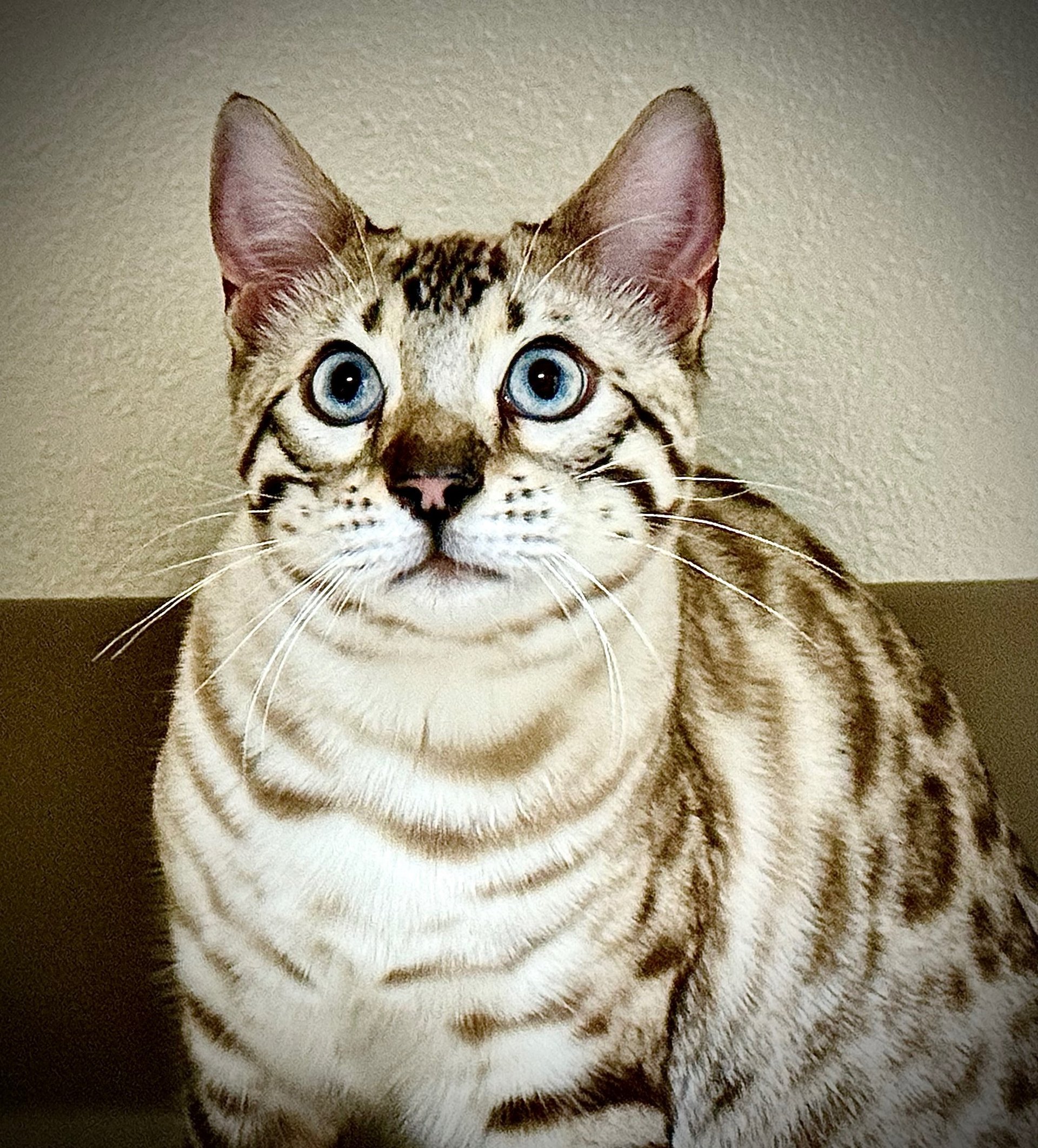 an abstract photo of a curved building with a blue sky in the background