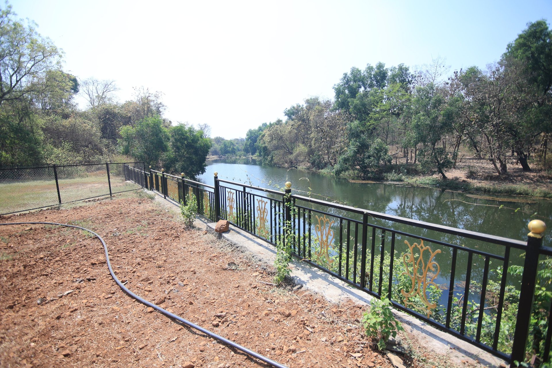 woman wearing yellow long-sleeved dress under white clouds and blue sky during daytime