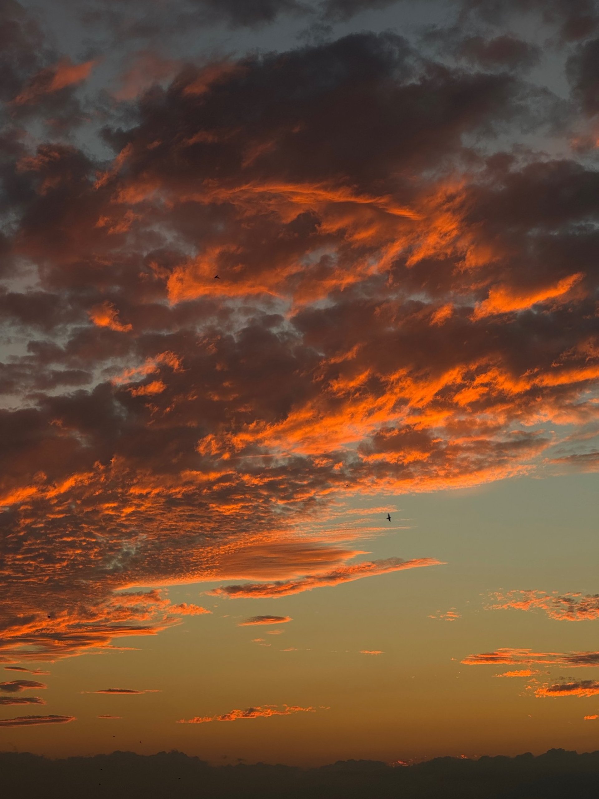 an abstract photo of a curved building with a blue sky in the background