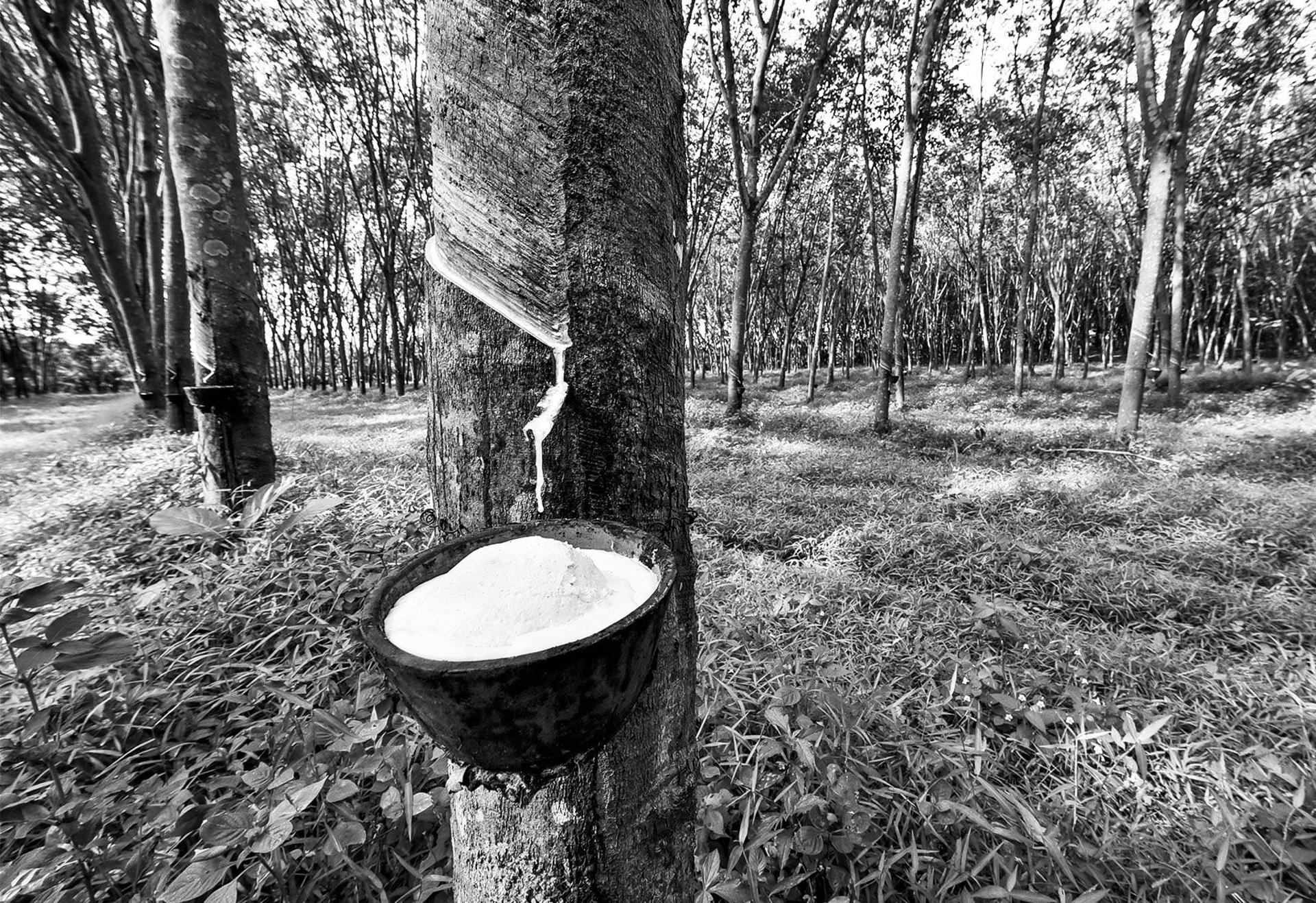 black and white bed linen