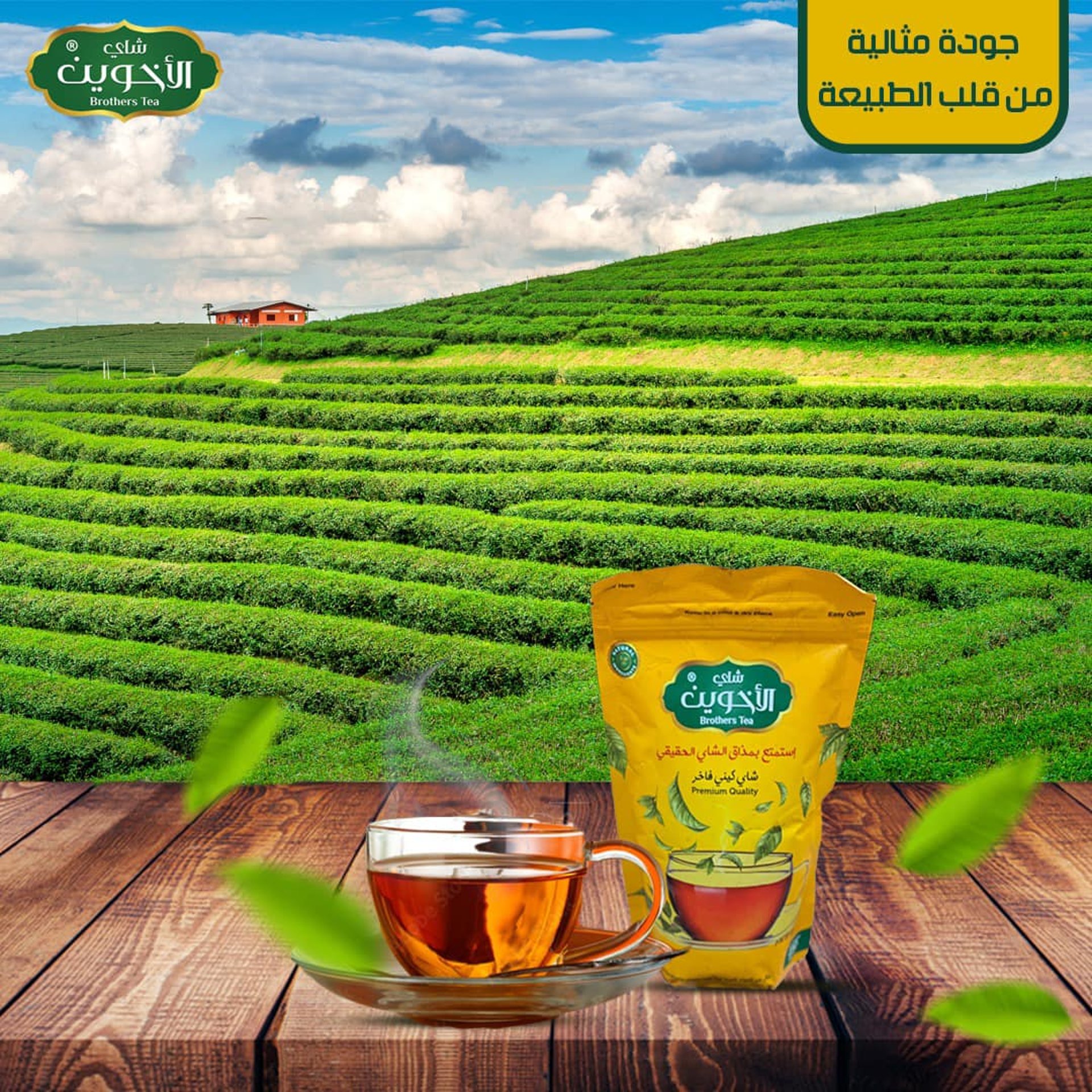 woman wearing yellow long-sleeved dress under white clouds and blue sky during daytime